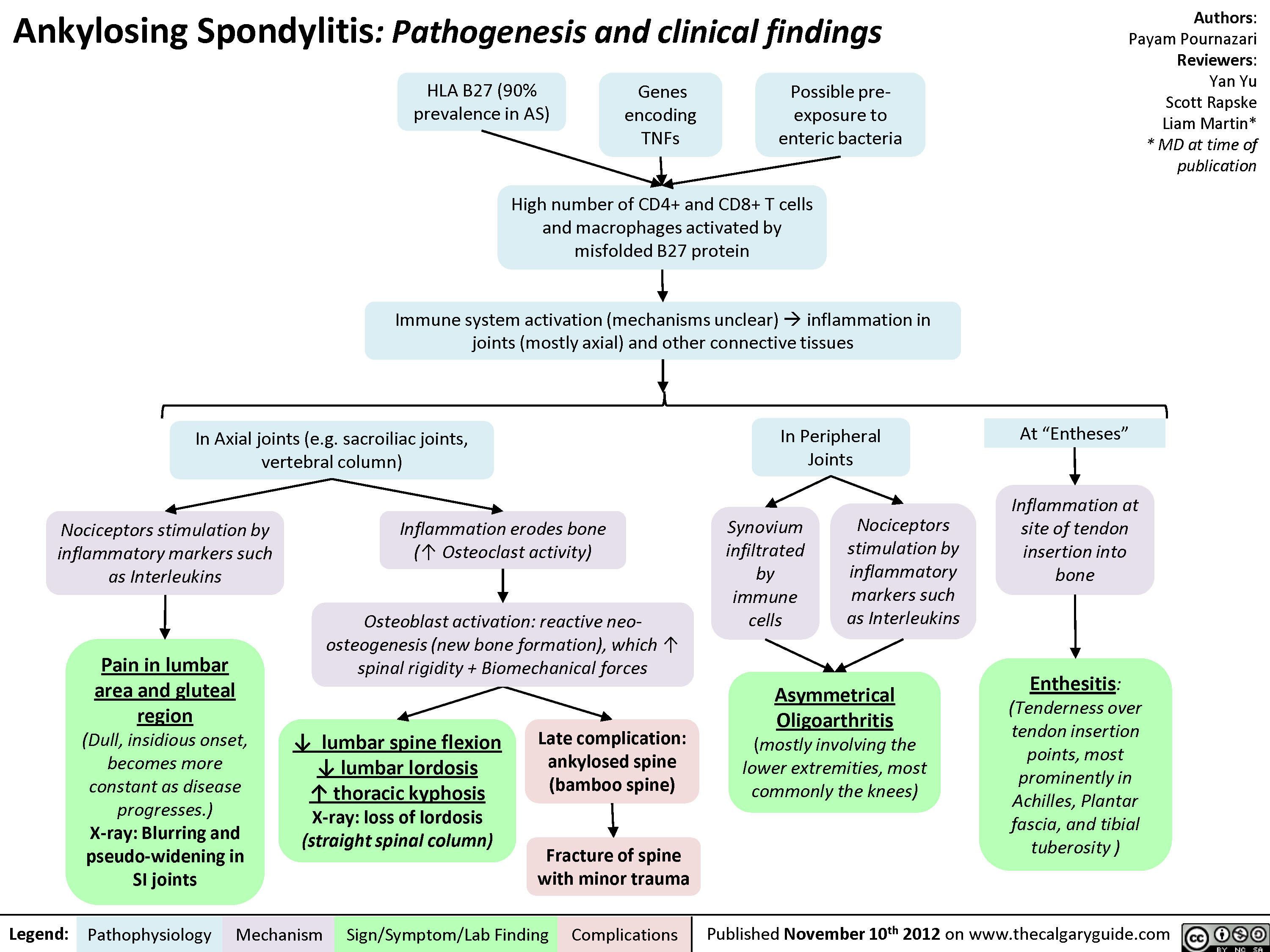 Ankylosing Spondylitis: Pathogenesis and Clinical findings