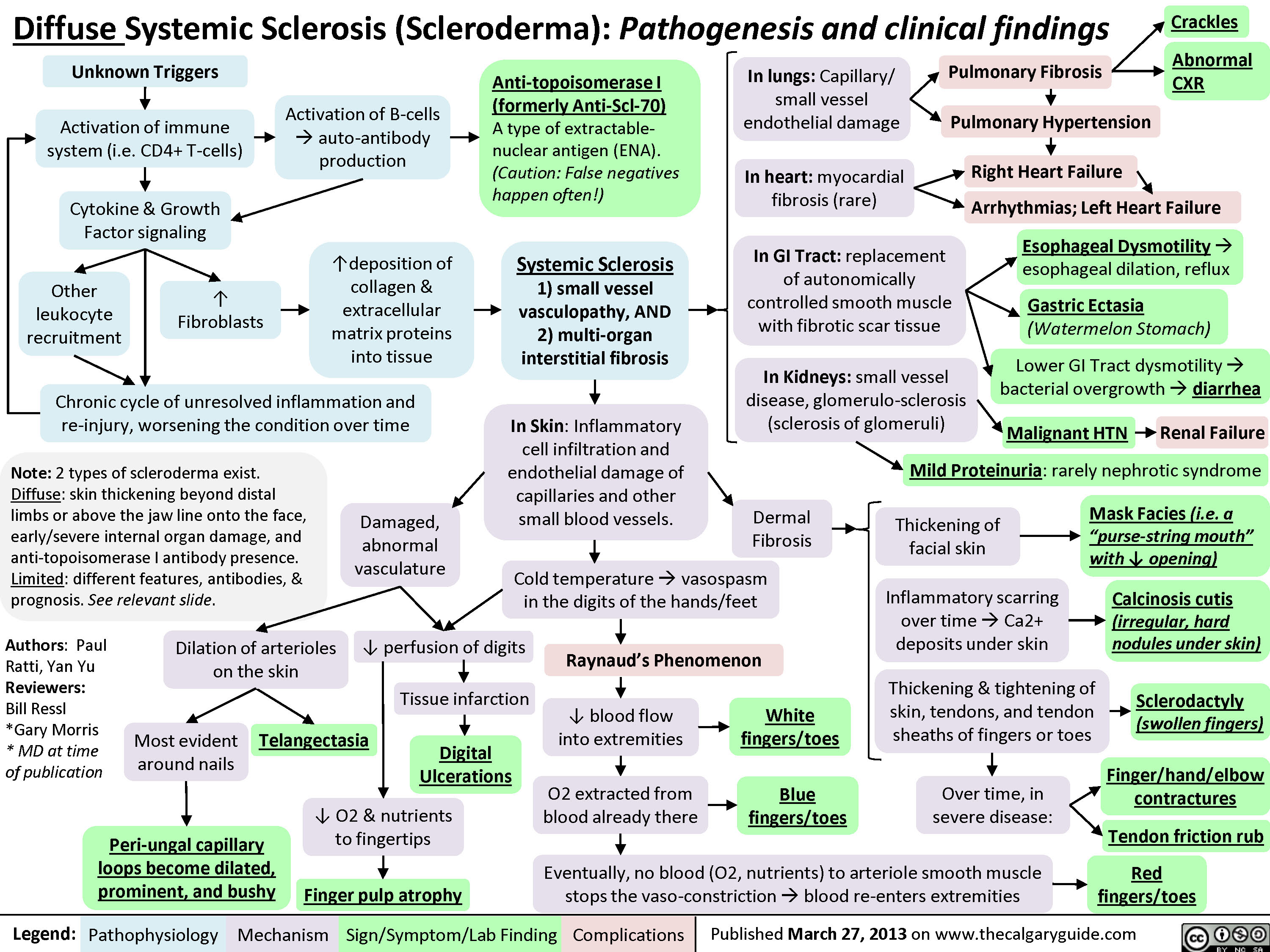 Diffuse Systemic Sclerosis Scleroderma Calgary Guide
