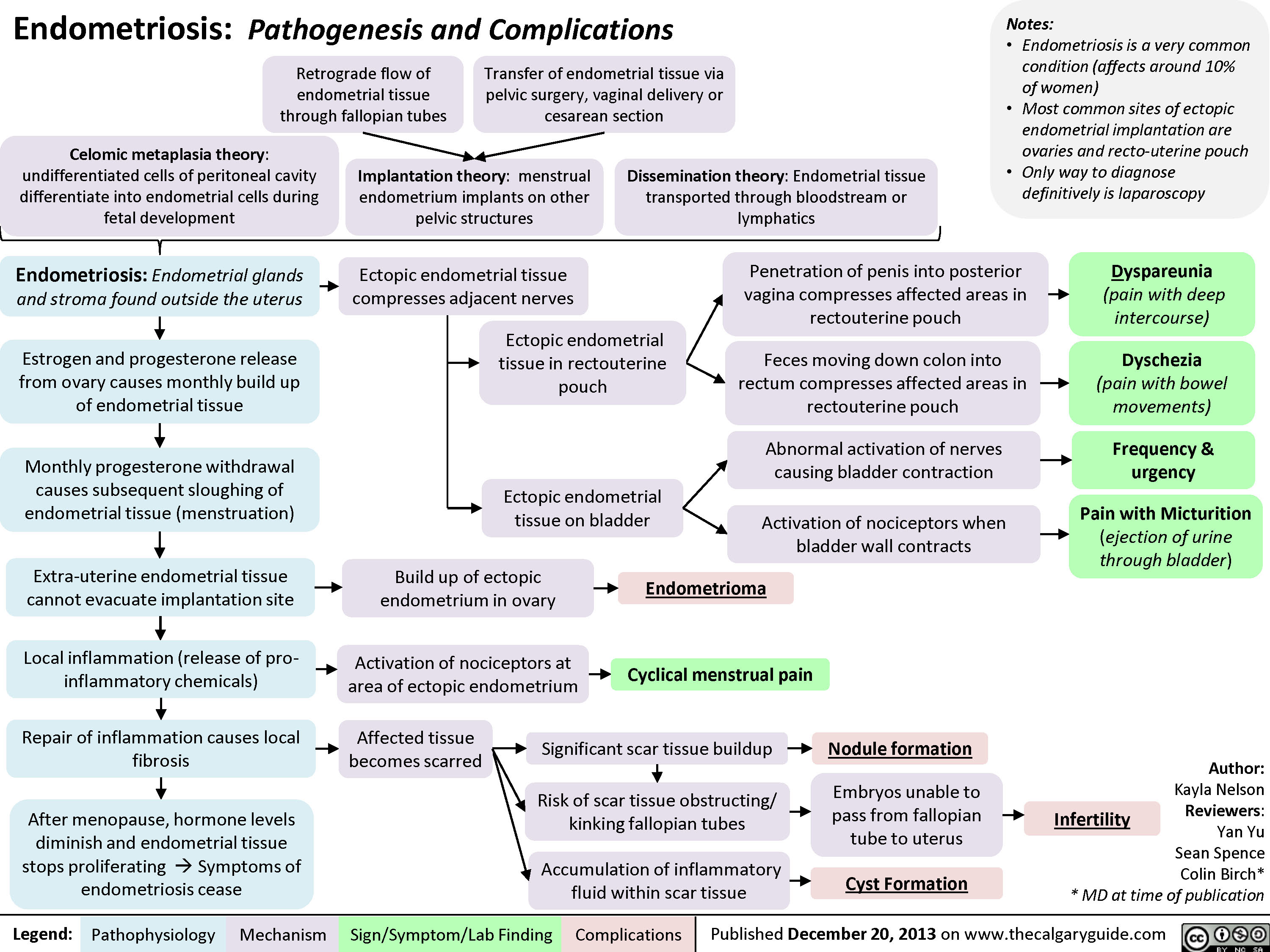 Endometriosis: Pathogenesis and Complications