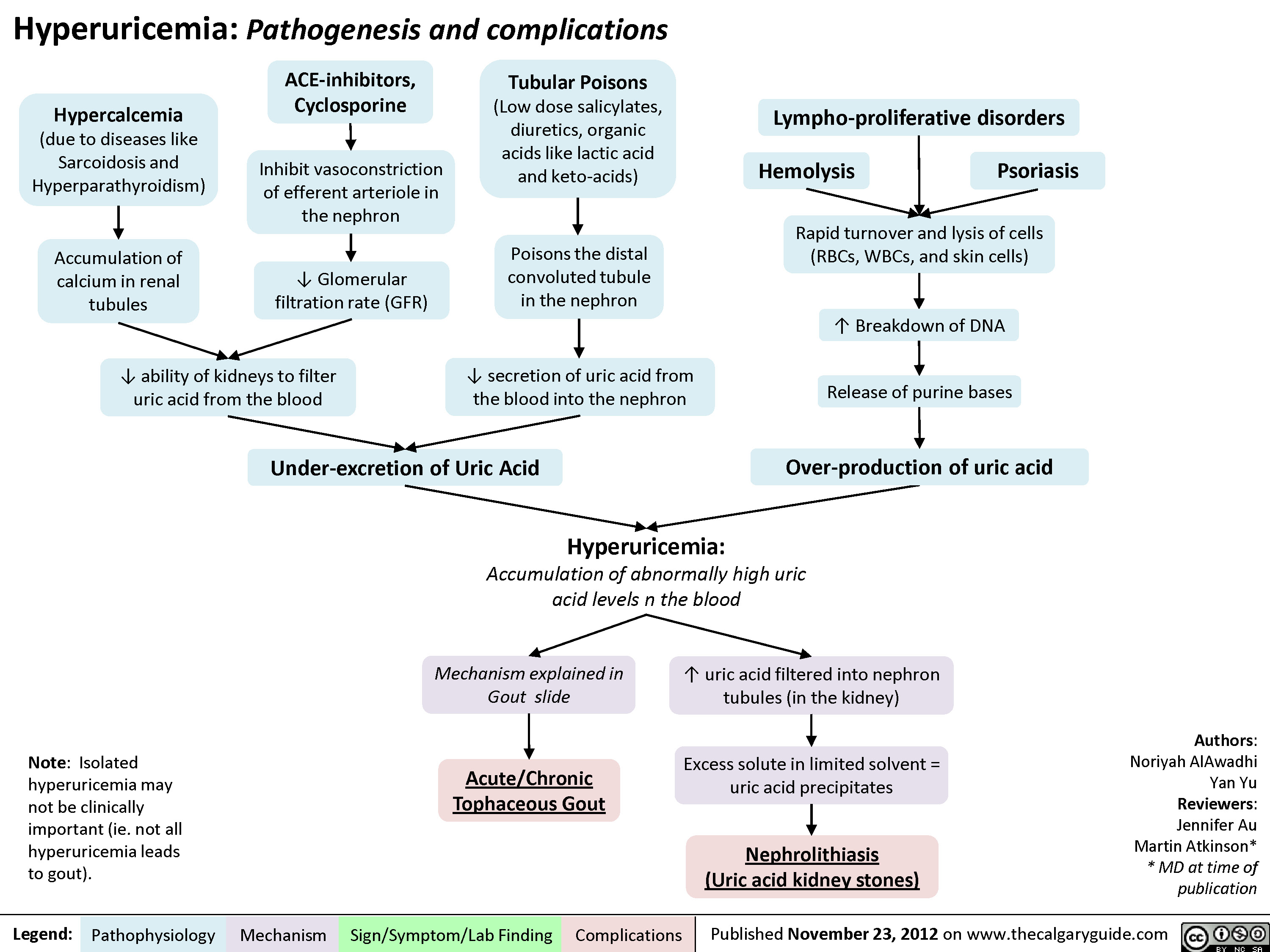 Hyperuricemia Pathogenesis and Complications