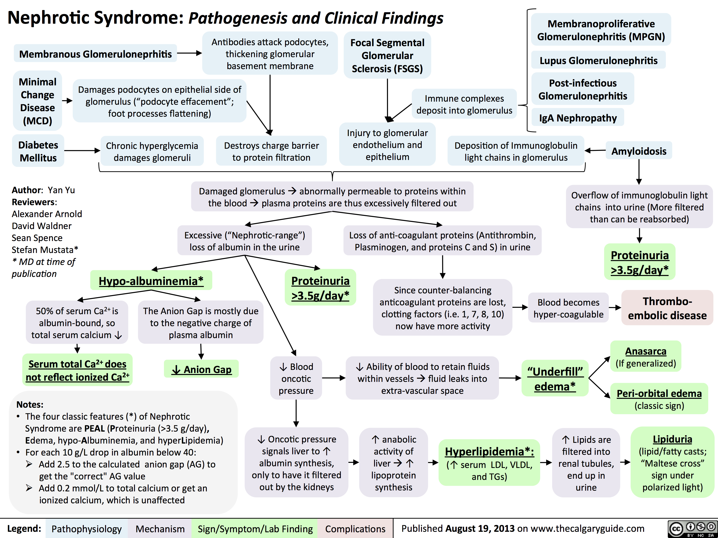 Nephrotic Syndrome: Pathogenesis and Clinical Findings