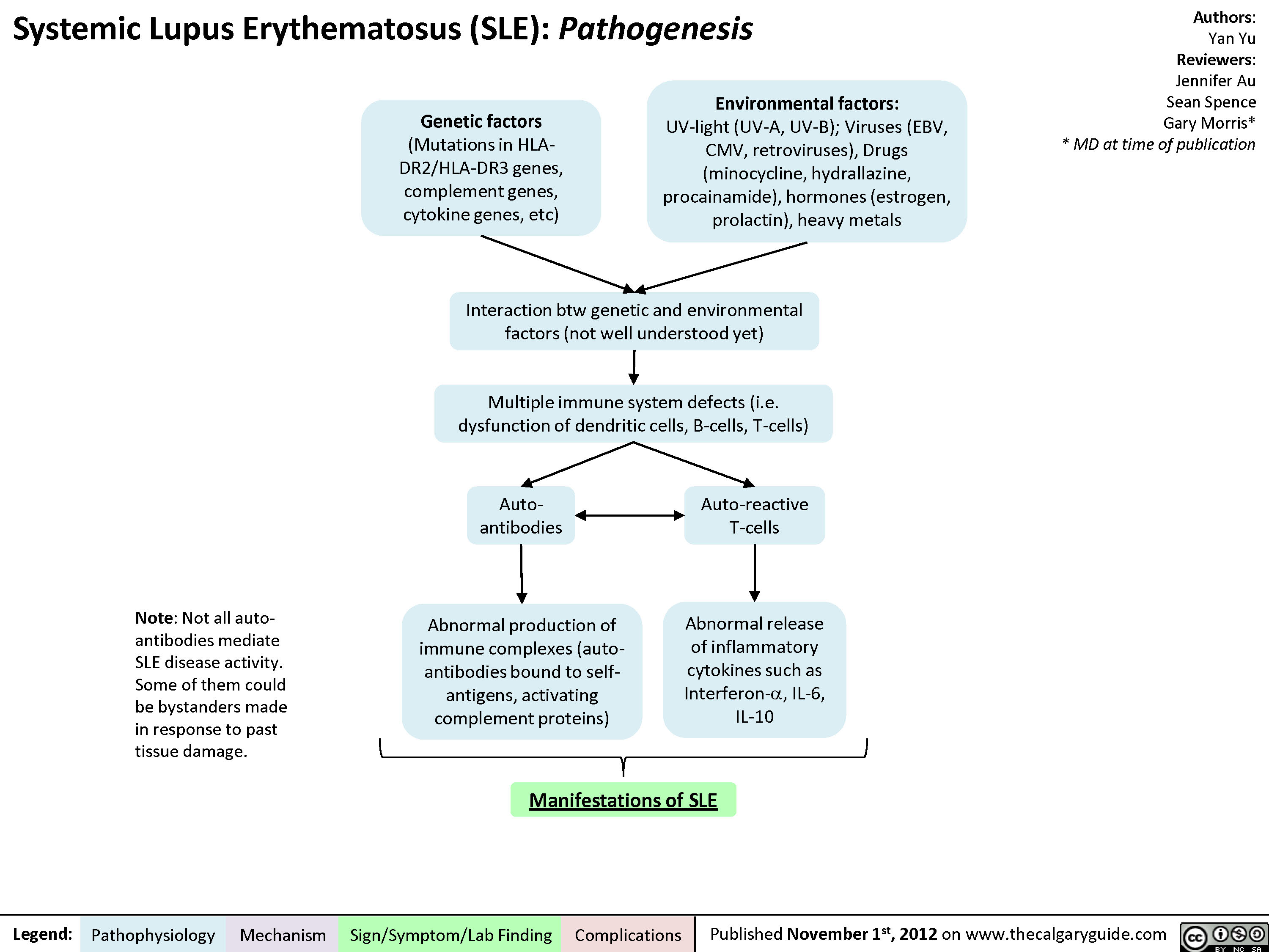 Systemic Lupus Erythematosus SLE Pathogenesis Calgary Guide