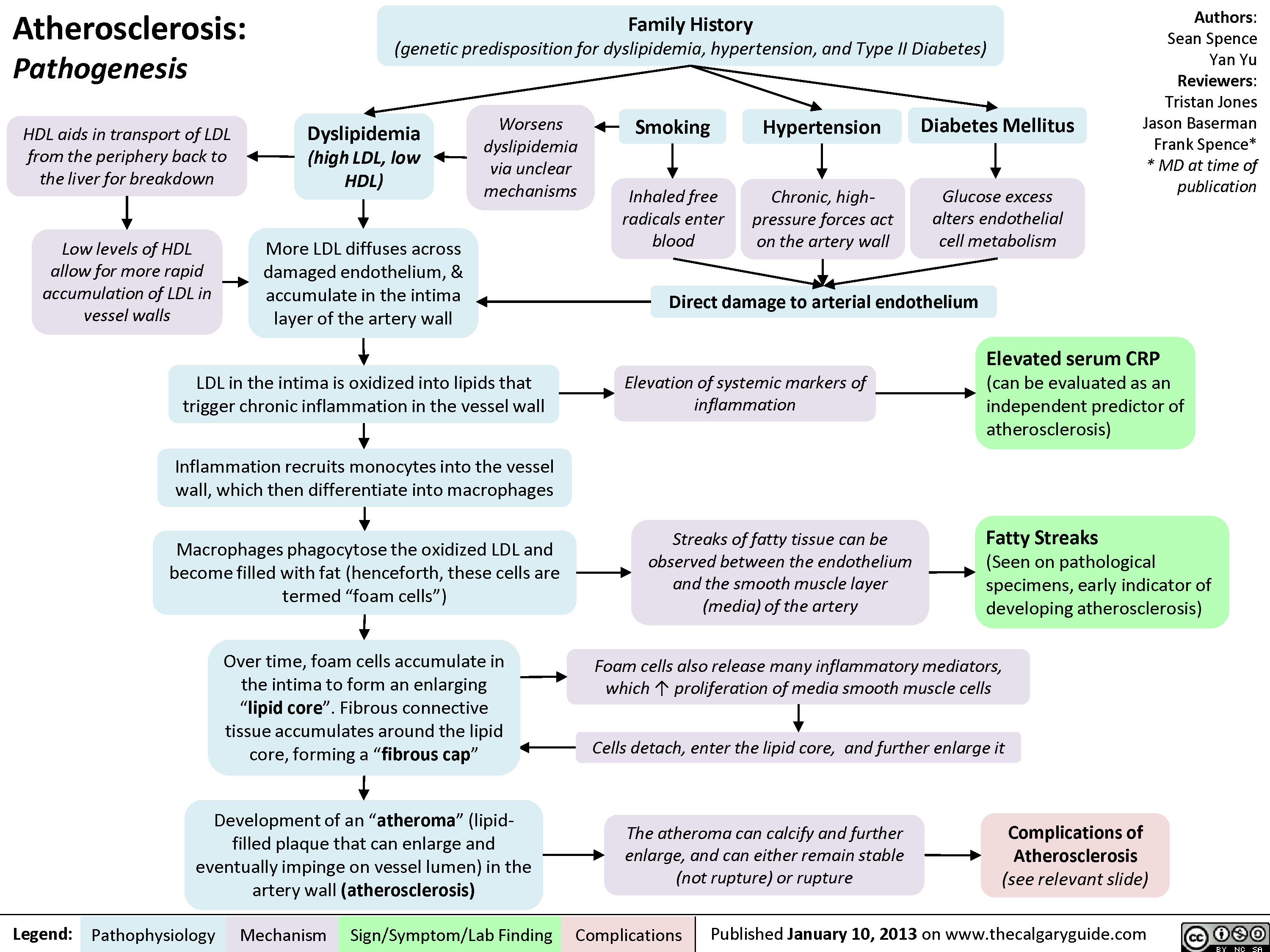 atherosclerosis pathophysiology