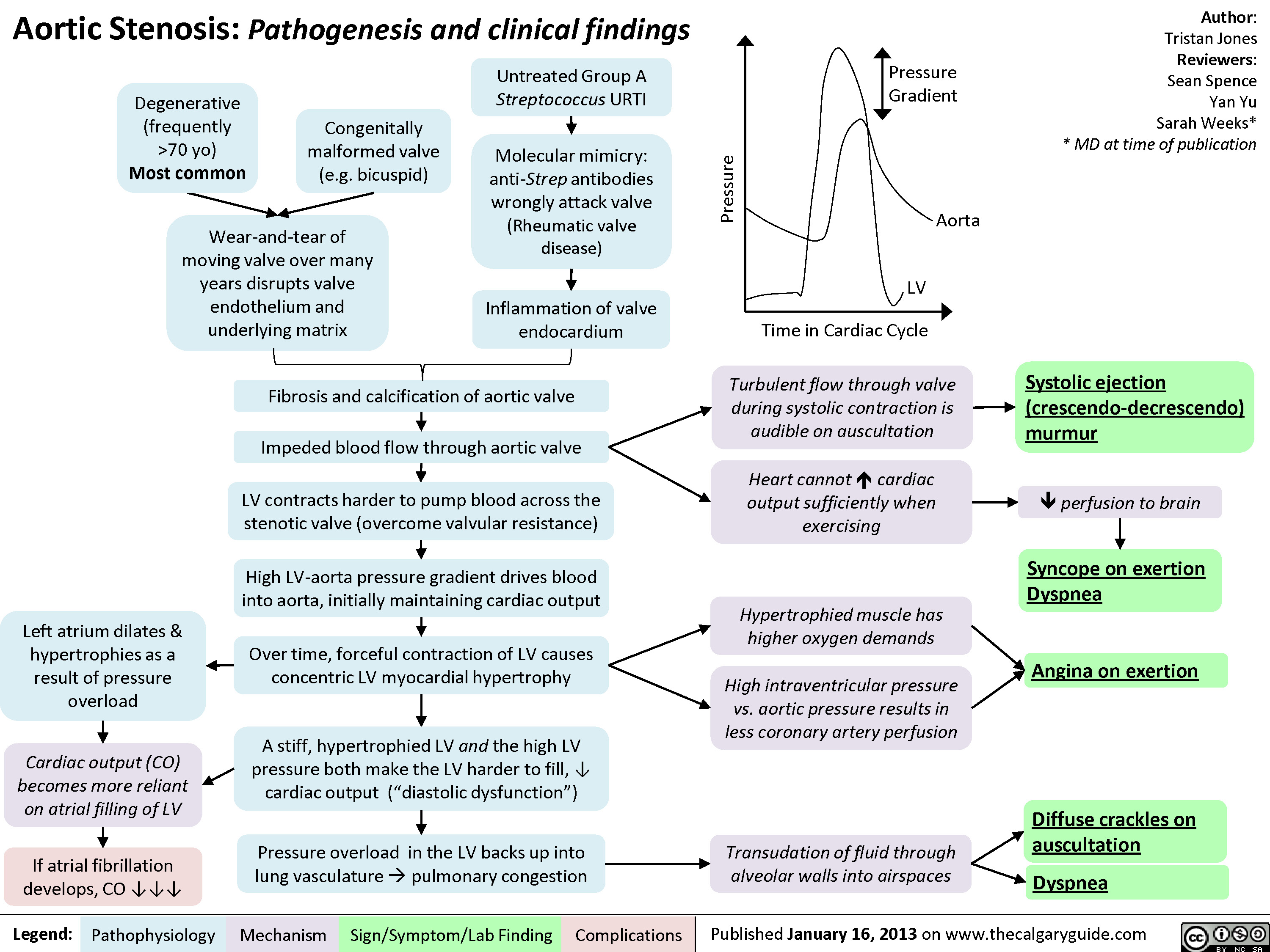 Aortic Stenosis Pathogenesis And Clinical Findings Calgary Guide