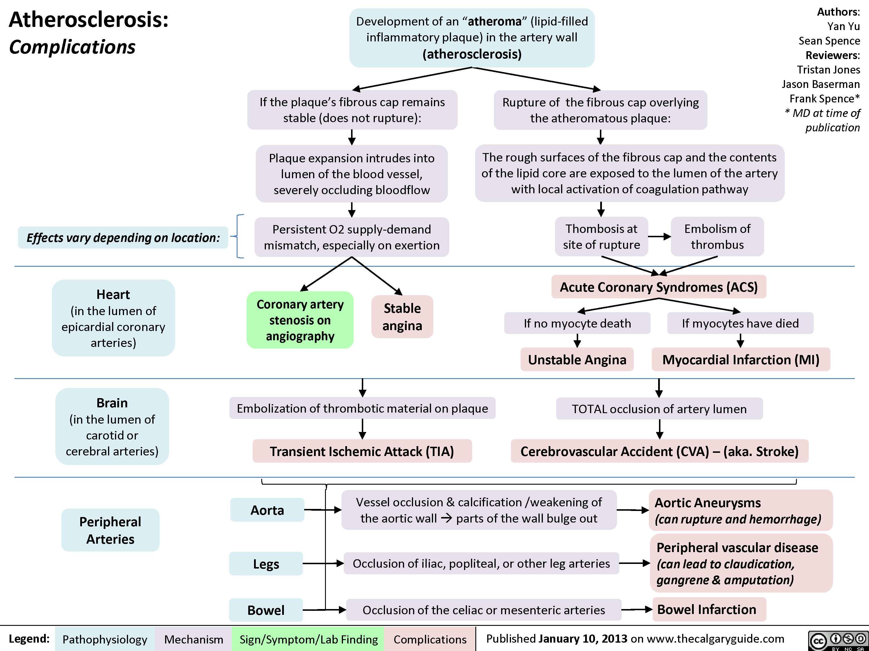 atherosclerosis pathophysiology