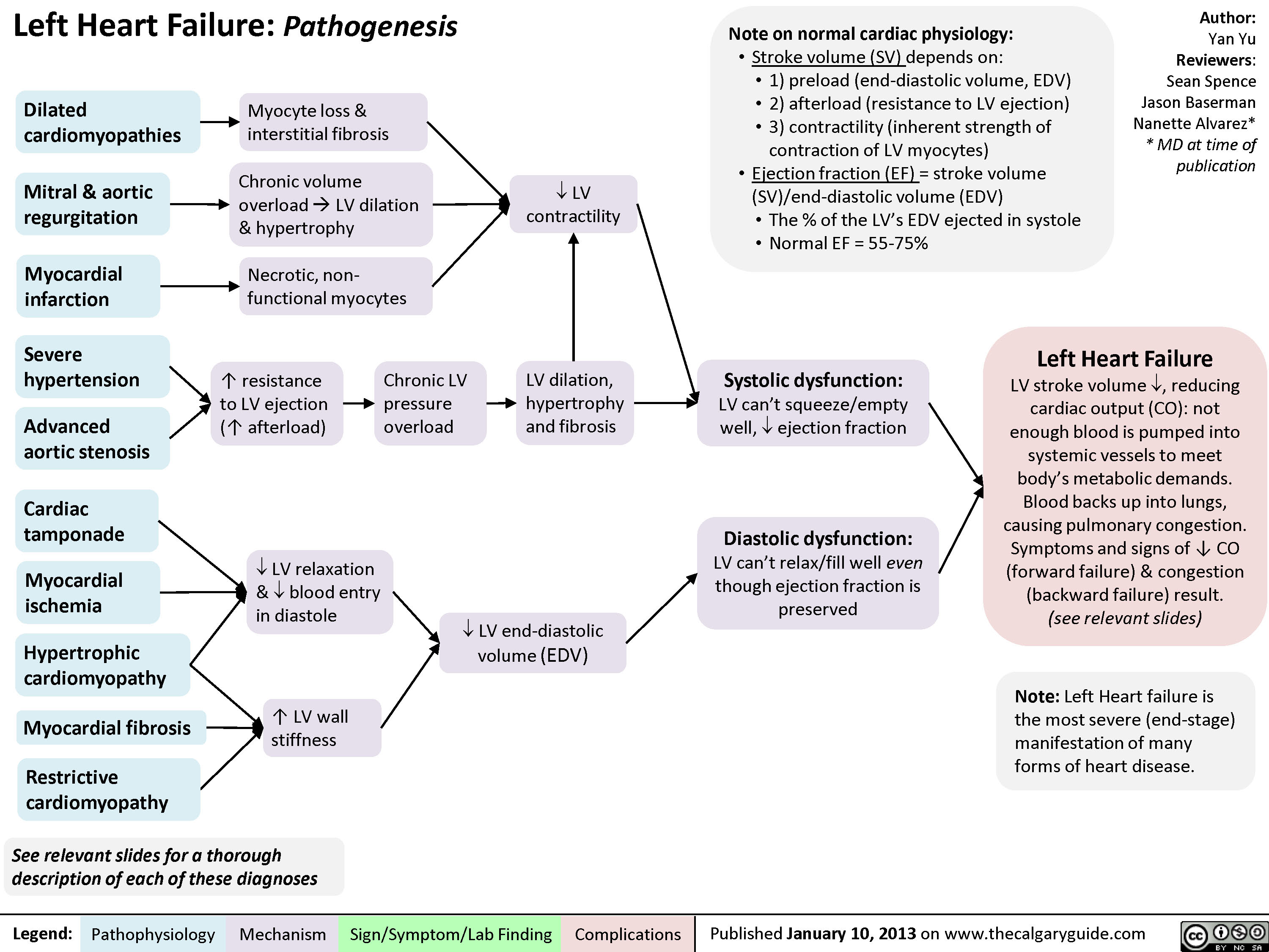 Left Heart Failure - Pathogenesis