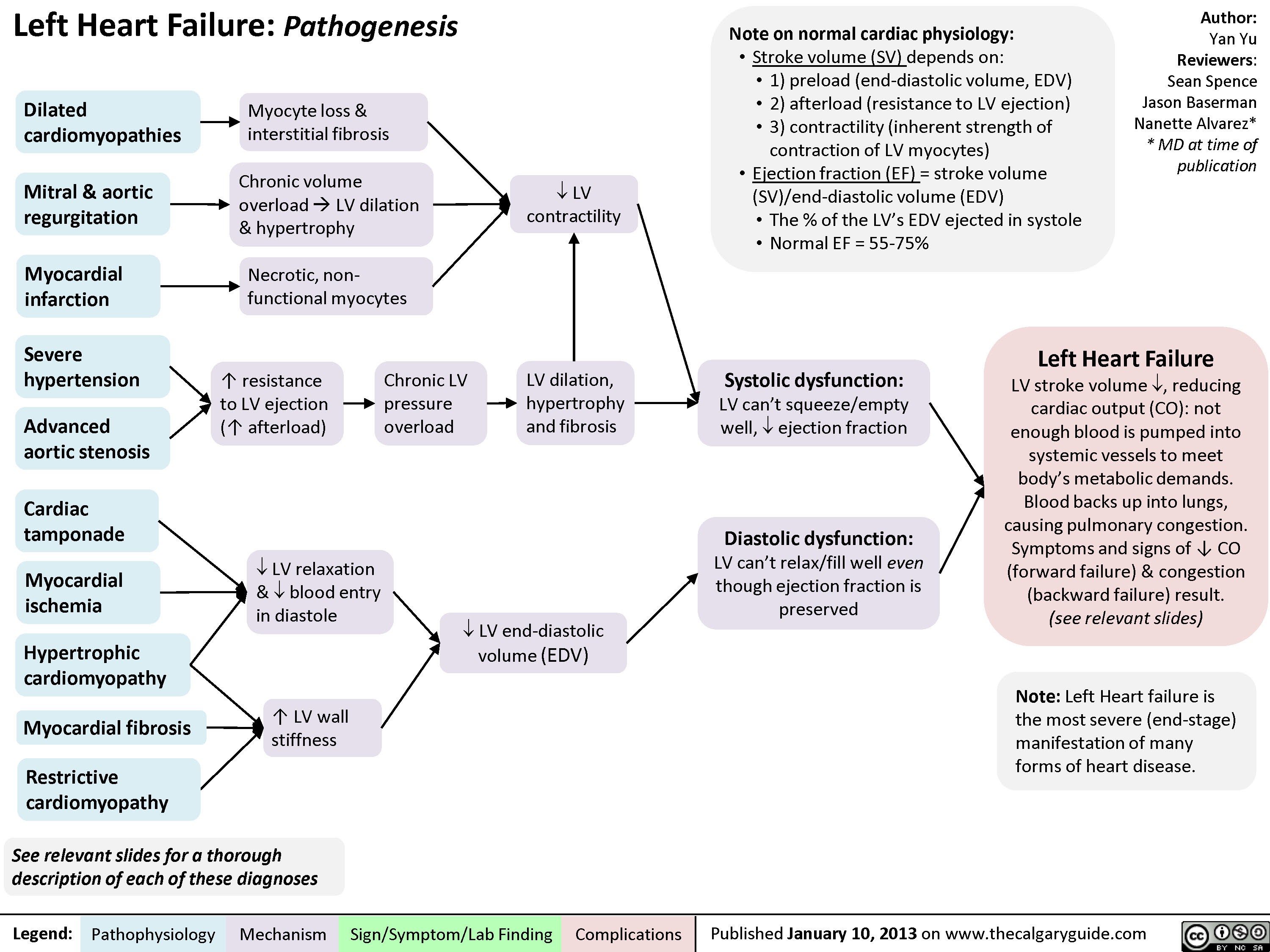 congestive-heart-failure-etiology-and-pathophysiology-doctorvisit