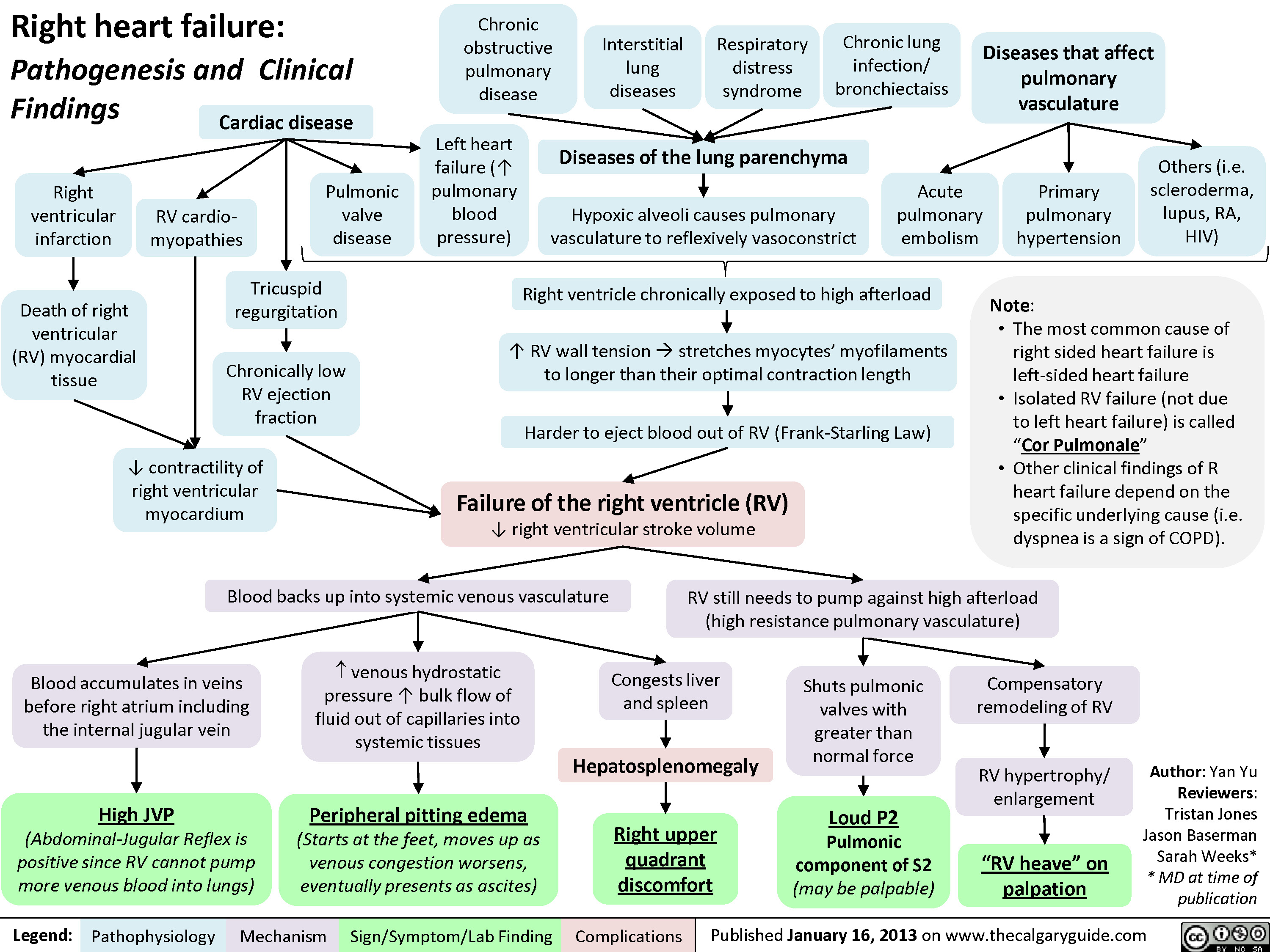 Right Heart Failure Calgary Guide