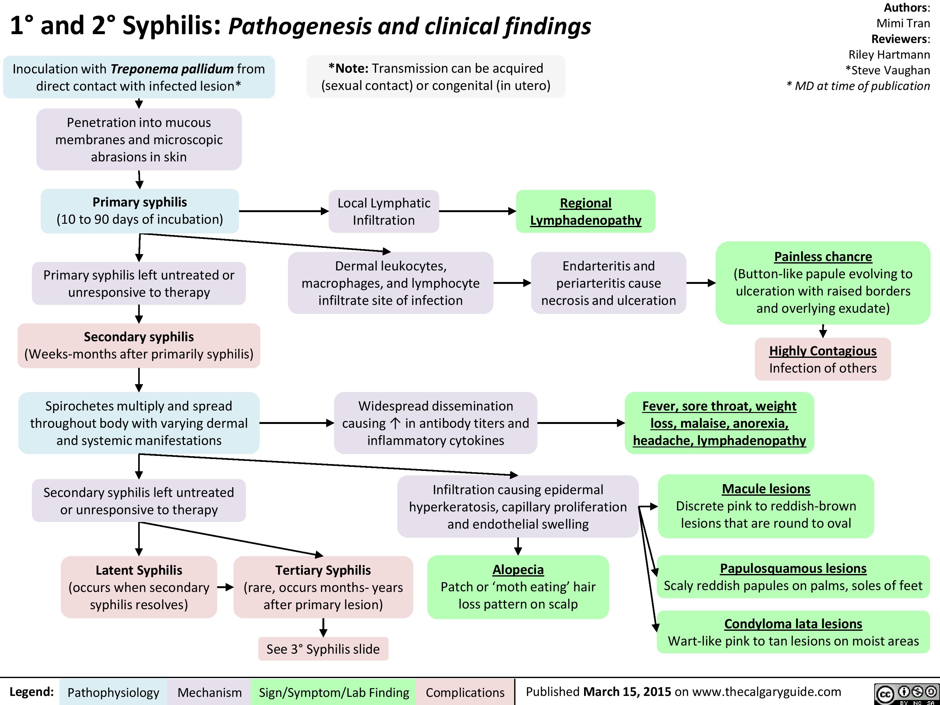 1° and 2° Syphilis Pathogenesis and clinical findings