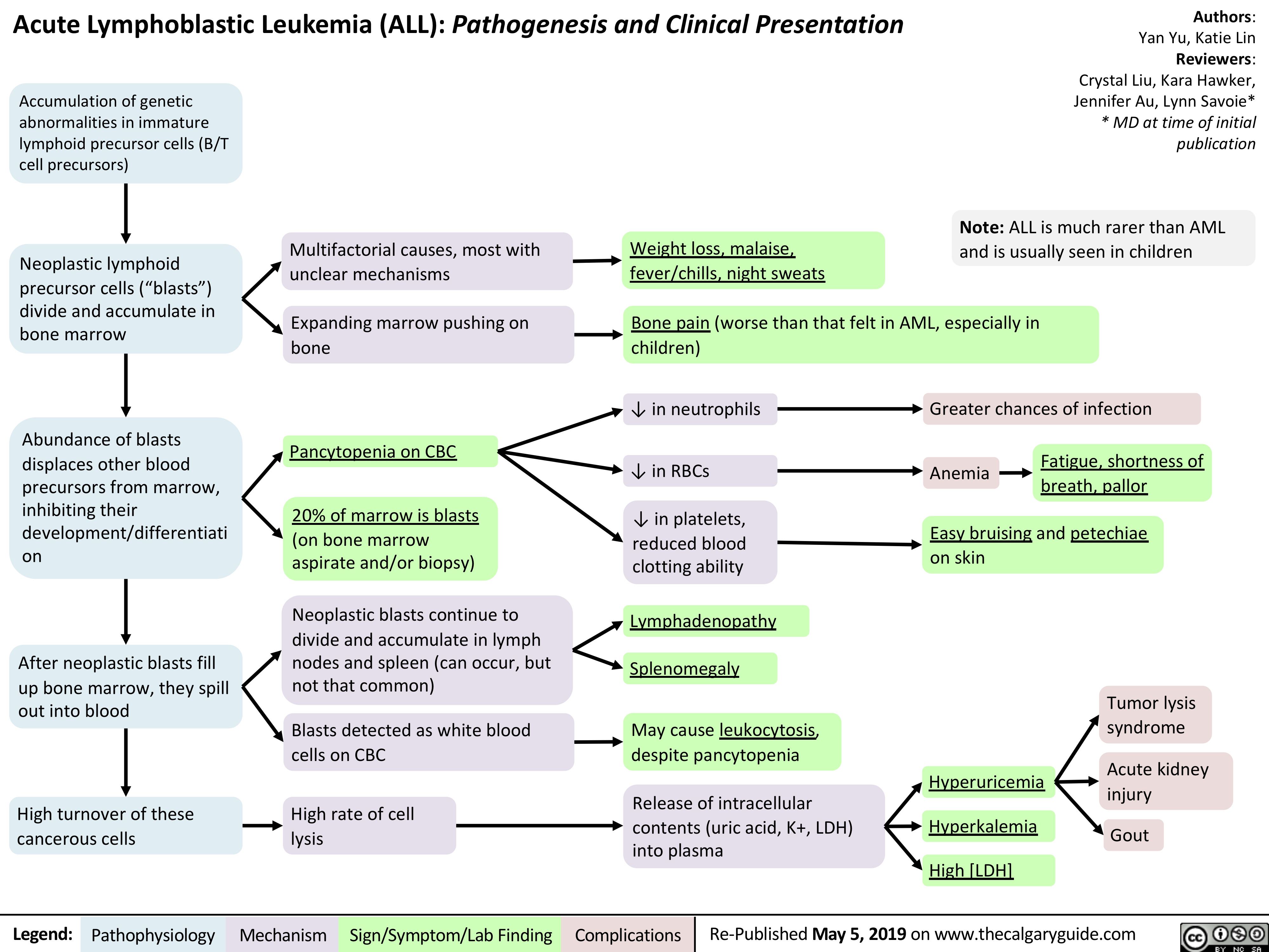 acute-lymphoblastic-leukemia-calgary-guide