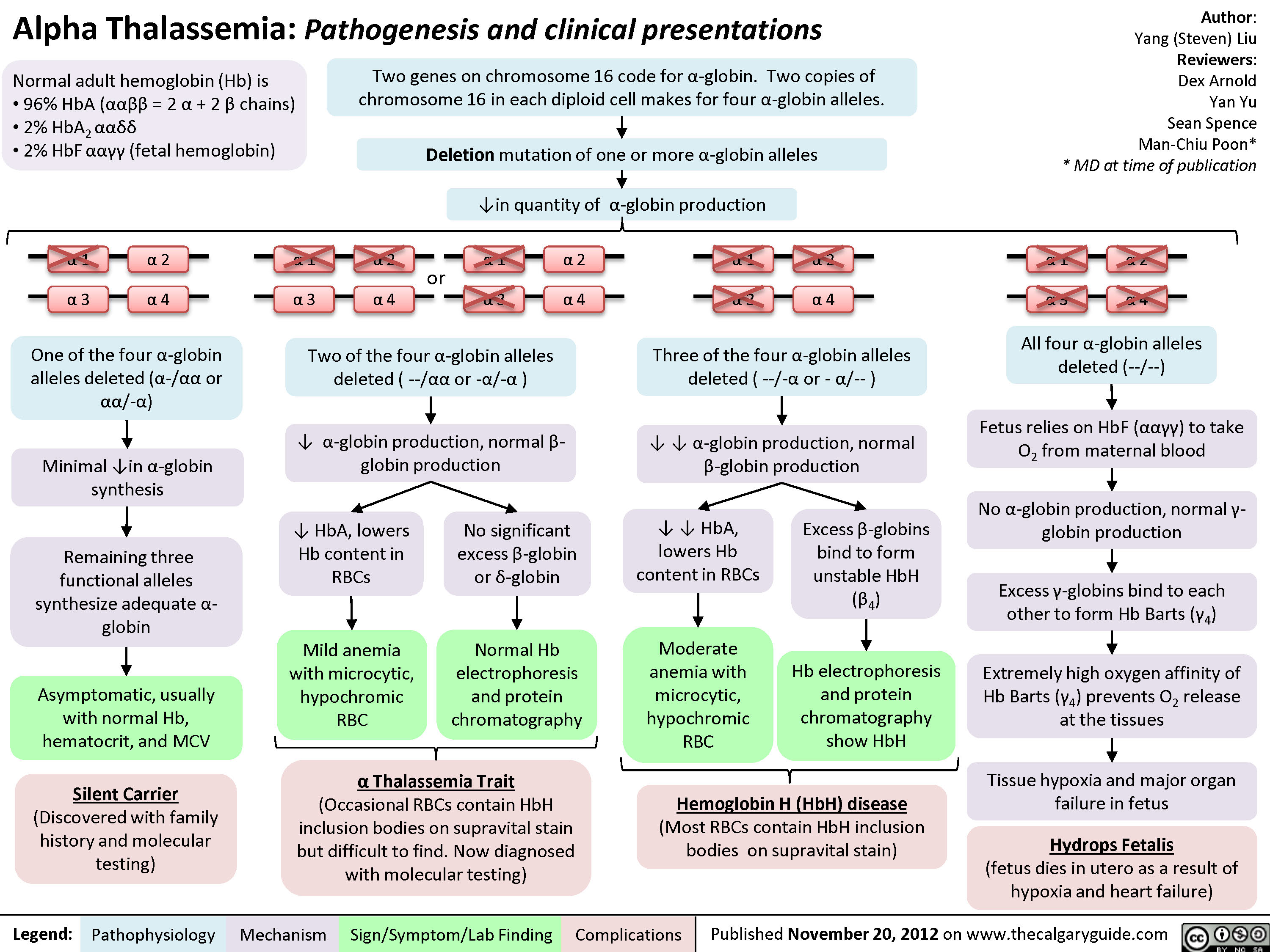 Alpha Thalassemia Pathogenesis