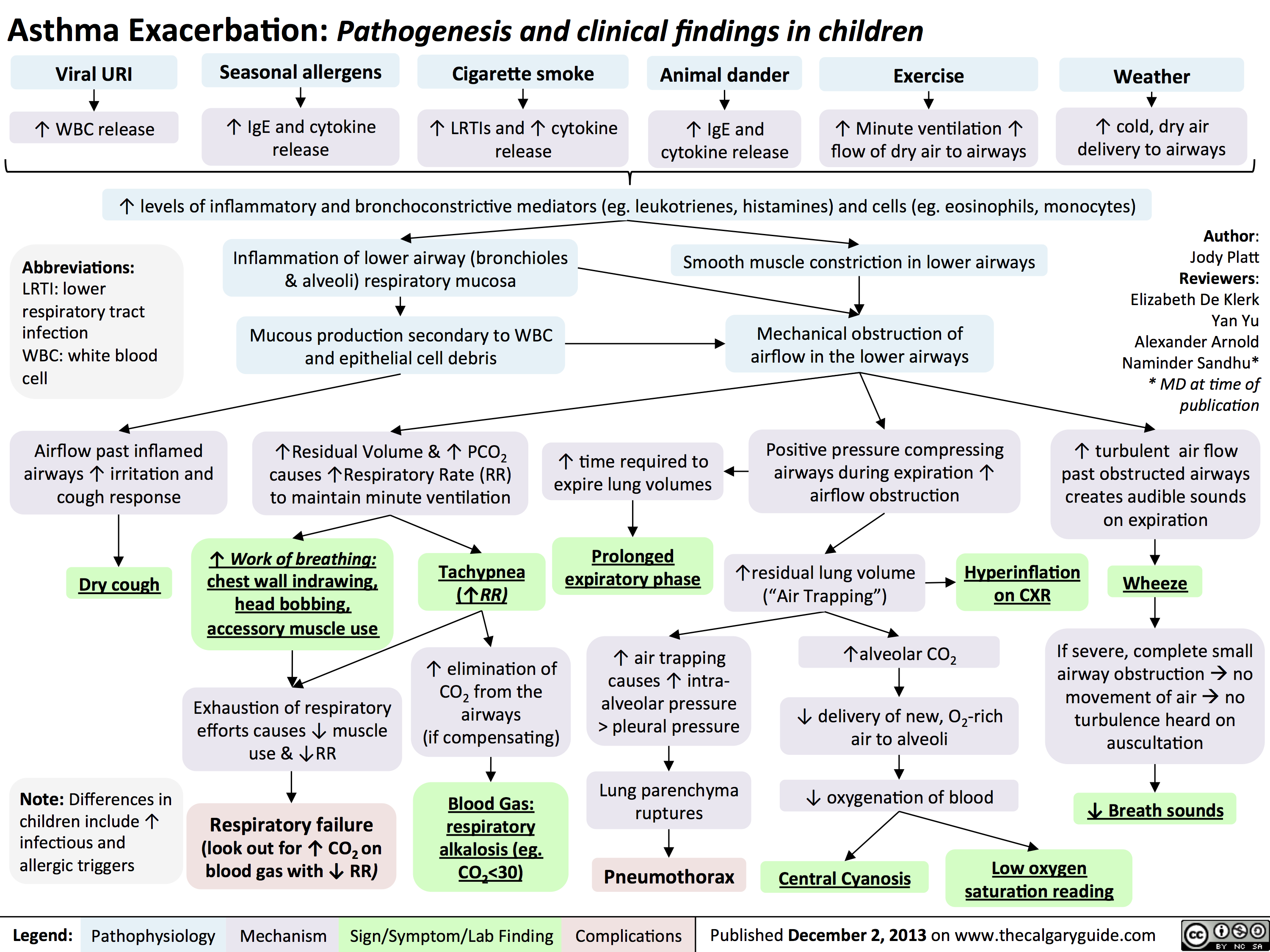 Asthma Exacerbation - Pathogenesis and Clinical Findings in Children