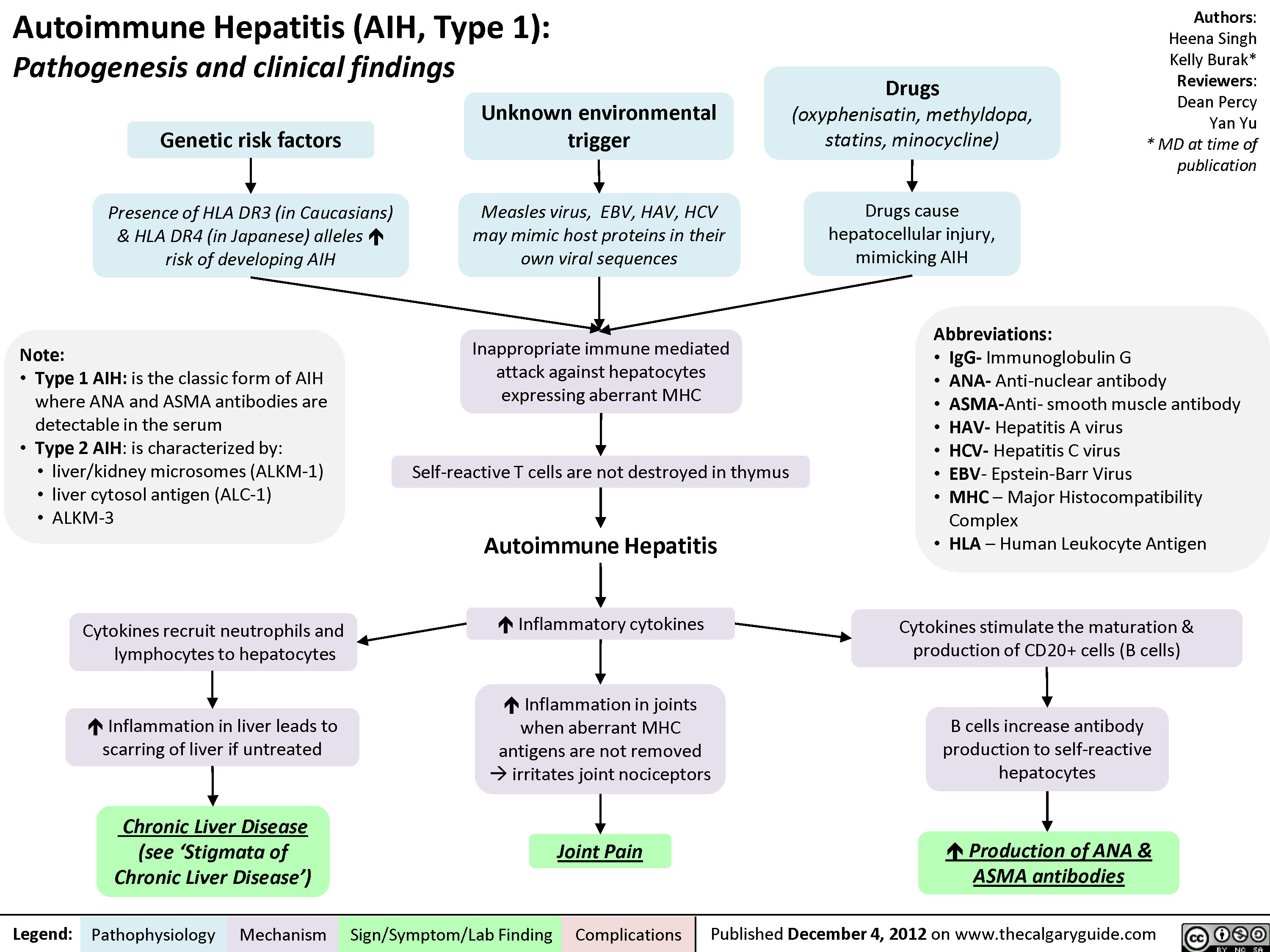 Auto-immune Hepatitis