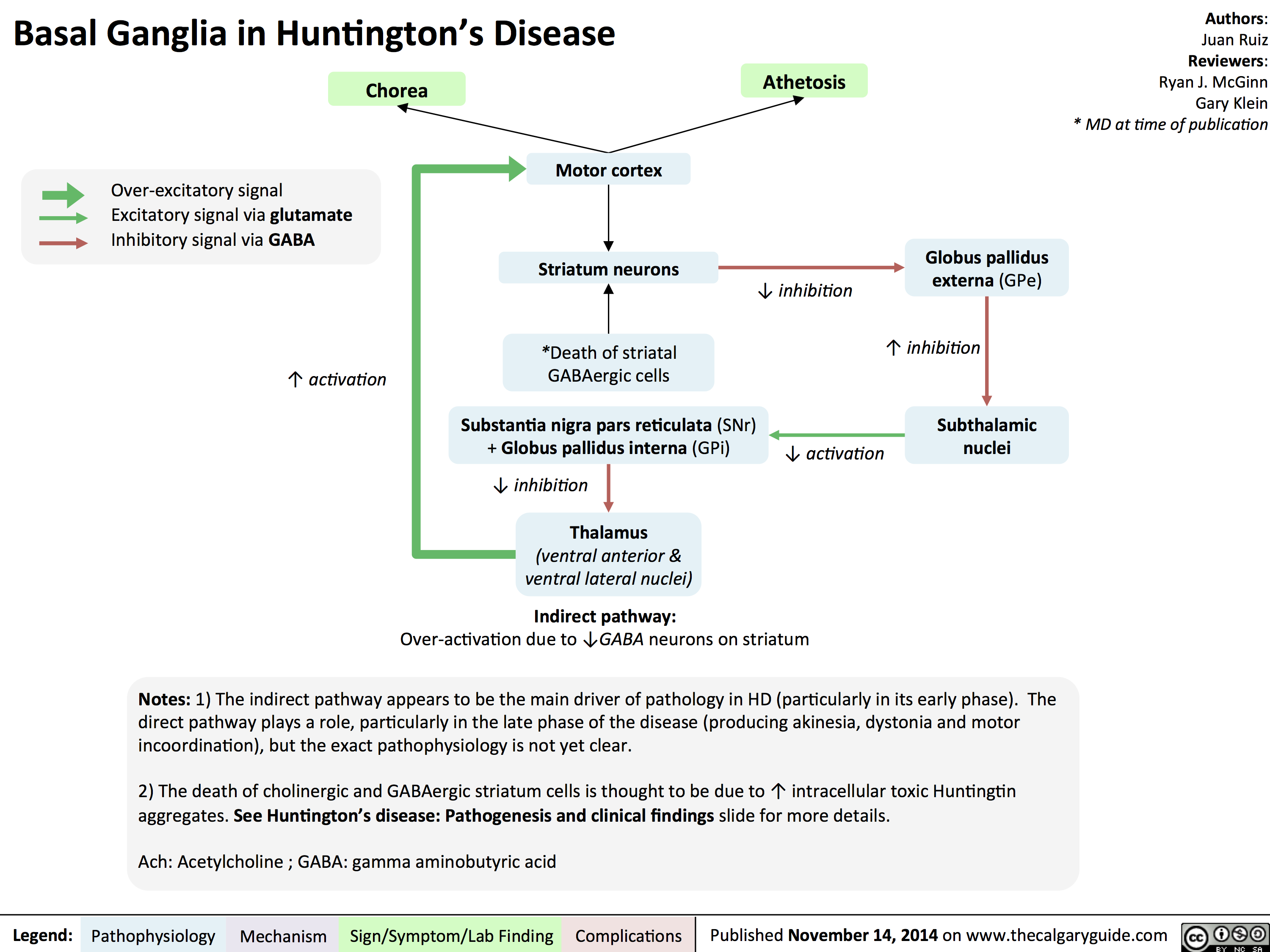 Basal Ganglia in Huntingtons Disease