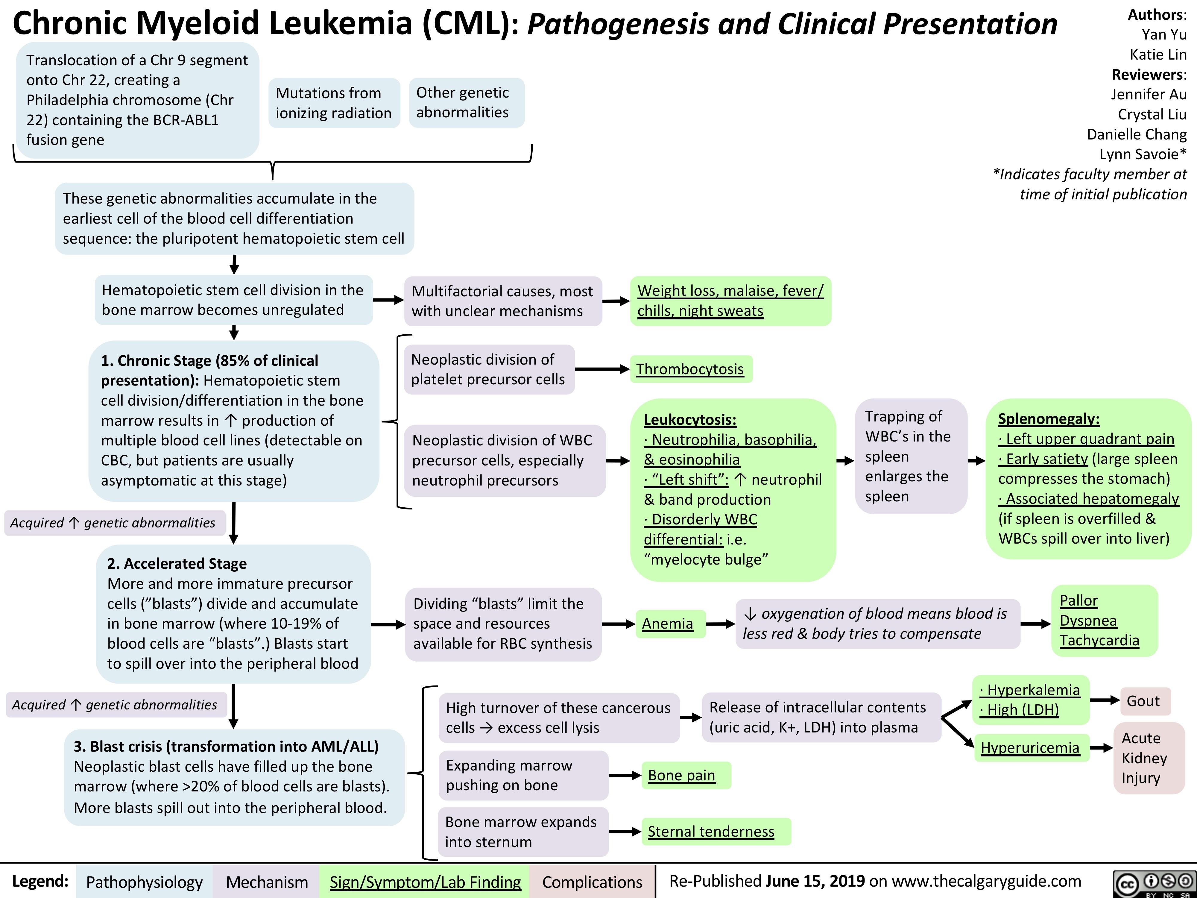 Chronic Myeloid Leukemia (CML): Pathogenesis and Clinical Presentation
 Translocation of a Chr 9 segment onto Chr 22, creating a Philadelphia chromosome (Chr 22) containing the BCR-ABL1 fusion gene
Mutations from ionizing radiation
Other genetic abnormalities
Authors: Yan Yu Katie Lin Reviewers: Jennifer Au Crystal Liu Danielle Chang Lynn Savoie* *Indicates faculty member at time of initial publication
    These genetic abnormalities accumulate in the earliest cell of the blood cell differentiation sequence: the pluripotent hematopoietic stem cell
Hematopoietic stem cell division in the bone marrow becomes unregulated
1. Chronic Stage (85% of clinical presentation): Hematopoietic stem cell division/differentiation in the bone marrow results in ↑ production of multiple blood cell lines (detectable on CBC, but patients are usually asymptomatic at this stage)
Acquired ↑ genetic abnormalities
2. Accelerated Stage
More and more immature precursor cells (”blasts”) divide and accumulate in bone marrow (where 10-19% of blood cells are “blasts”.) Blasts start to spill over into the peripheral blood
Acquired ↑ genetic abnormalities
3. Blast crisis (transformation into AML/ALL)
Neoplastic blast cells have filled up the bone marrow (where >20% of blood cells are blasts). More blasts spill out into the peripheral blood.
Multifactorial causes, most   Weight loss, malaise, fever/
     with unclear mechanisms
Neoplastic division of platelet precursor cells
Neoplastic division of WBC precursor cells, especially neutrophil precursors
Dividing “blasts” limit the space and resources available for RBC synthesis
chills, night sweats Thrombocytosis
Leukocytosis:
· Neutrophilia, basophilia, & eosinophilia
· “Left shift”: ↑ neutrophil & band production
· Disorderly WBC differential: i.e. “myelocyte bulge”
Trapping of WBC’s in the spleen enlarges the spleen
Splenomegaly:
· Left upper quadrant pain · Early satiety (large spleen compresses the stomach)
· Associated hepatomegaly (if spleen is overfilled & WBCs spill over into liver)
                                Anemia
↓ oxygenation of blood means blood is less red & body tries to compensate
Pallor Dyspnea Tachycardia
                High turnover of these cancerous cells → excess cell lysis
Release of intracellular contents (uric acid, K+, LDH) into plasma
· Hyperkalemia · High (LDH)
Hyperuricemia
Gout
Acute Kidney Injury
        Expanding marrow pushing on bone
Bone marrow expands into sternum
Bone pain
Sternal tenderness
         Legend:
 Pathophysiology
 Mechanism
Sign/Symptom/Lab Finding
   Complications
Re-Published June 15, 2019 on www.thecalgaryguide.com
   