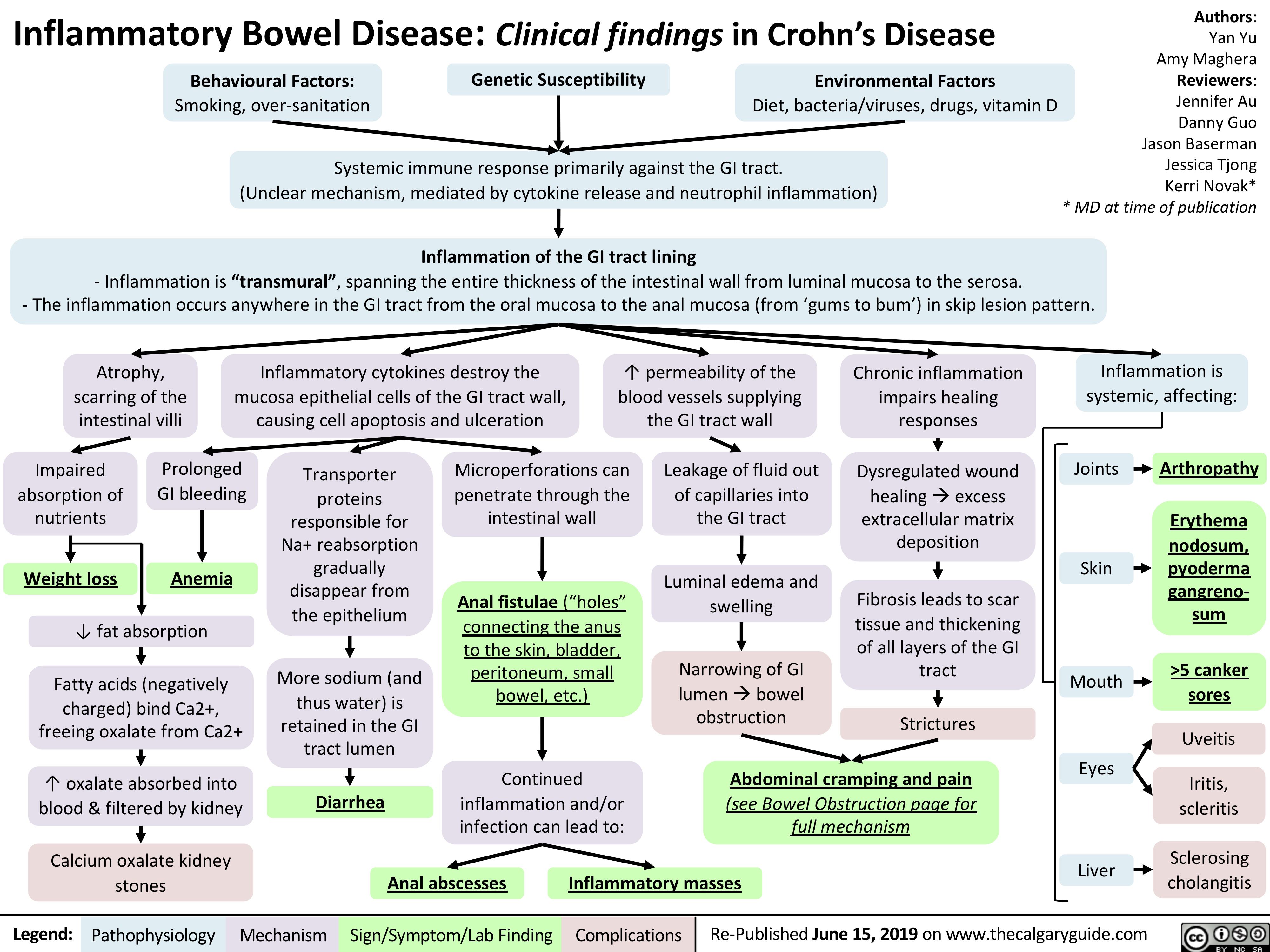 Inflammatory Bowel Disease: Clinical findings in Crohn’s Disease
Authors: Yan Yu Amy Maghera Reviewers: Jennifer Au Danny Guo Jason Baserman Jessica Tjong Kerri Novak* * MD at time of publication
   Behavioural Factors:
Smoking, over-sanitation
Genetic Susceptibility
Environmental Factors
Diet, bacteria/viruses, drugs, vitamin D
    Systemic immune response primarily against the GI tract.
(Unclear mechanism, mediated by cytokine release and neutrophil inflammation)
  Inflammation of the GI tract lining
- Inflammation is “transmural”, spanning the entire thickness of the intestinal wall from luminal mucosa to the serosa.
- The inflammation occurs anywhere in the GI tract from the oral mucosa to the anal mucosa (from ‘gums to bum’) in skip lesion pattern.
       Atrophy, scarring of the intestinal villi
Inflammatory cytokines destroy the mucosa epithelial cells of the GI tract wall, causing cell apoptosis and ulceration
↑ permeability of the blood vessels supplying the GI tract wall
Chronic inflammation impairs healing responses
Dysregulated wound healingàexcess
extracellular matrix deposition
Fibrosis leads to scar tissue and thickening of all layers of the GI tract
Strictures
Inflammation is systemic, affecting:
Joints         Arthropathy Erythema
            Impaired absorption of nutrients
Weight loss
Prolonged GI bleeding
Anemia
Transporter proteins responsible for Na+ reabsorption gradually disappear from the epithelium
More sodium (and thus water) is
retained in the GI tract lumen
Microperforations can penetrate through the intestinal wall
Anal fistulae (“holes” connecting the anus to the skin, bladder, peritoneum, small bowel, etc.)
Continued inflammation and/or infection can lead to:
Leakage of fluid out of capillaries into the GI tract
Luminal edema and swelling
Narrowing of GI lumenàbowel obstruction
Skin
Mouth Eyes
Liver
nodosum, pyoderma gangreno- sum
>5 canker sores
Uveitis
Iritis, scleritis
Sclerosing cholangitis
                       ↓ fat absorption
Fatty acids (negatively charged) bind Ca2+, freeing oxalate from Ca2+
↑ oxalate absorbed into blood & filtered by kidney
Calcium oxalate kidney stones
Diarrhea
Abdominal cramping and pain
(see Bowel Obstruction page for full mechanism
                                         Anal abscesses Inflammatory masses
   Legend:
 Pathophysiology
 Mechanism
Sign/Symptom/Lab Finding
  Complications
Re-Published June 15, 2019 on www.thecalgaryguide.com
   