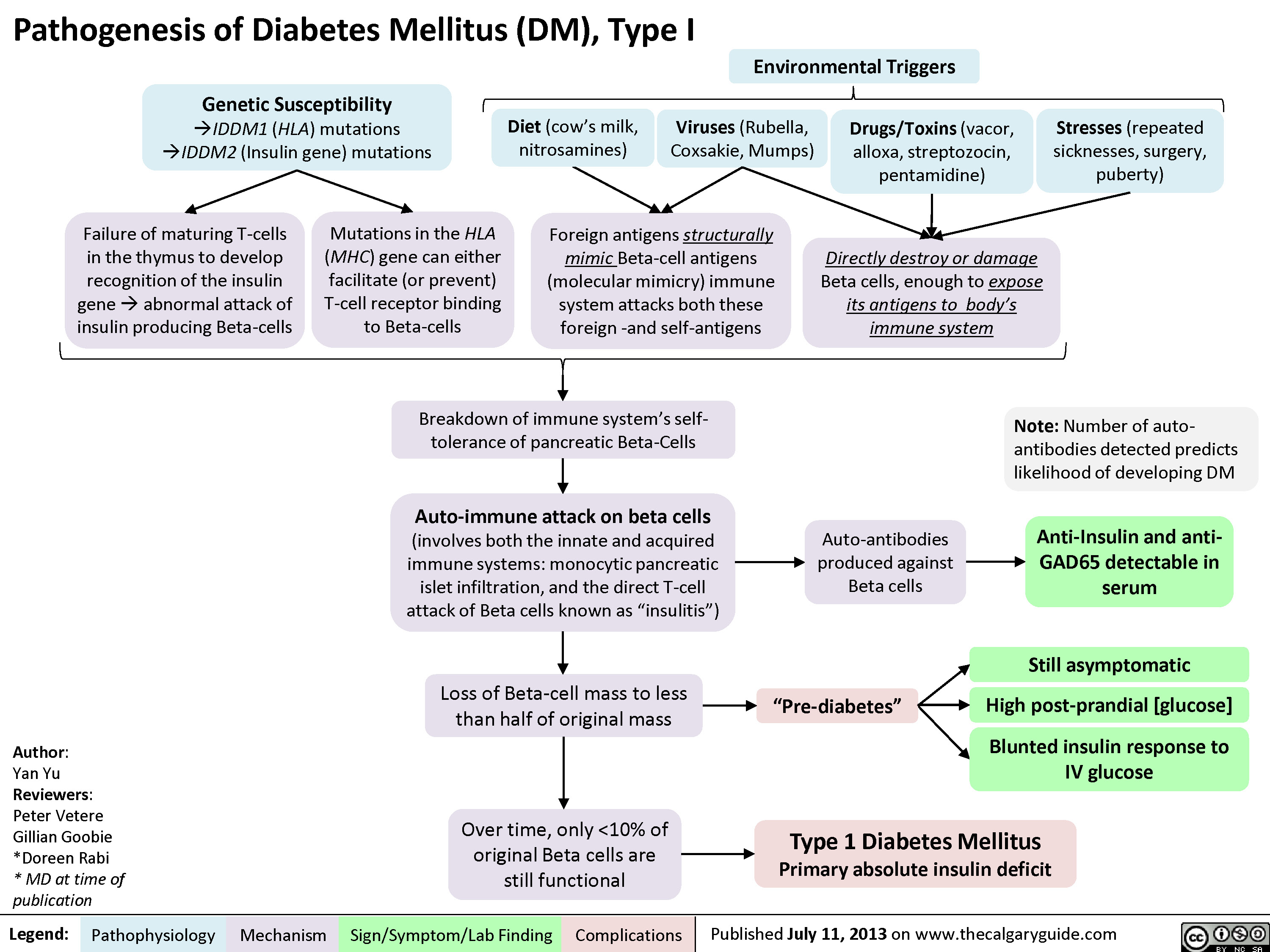 diabetes mellitus type 1 pathogenesis