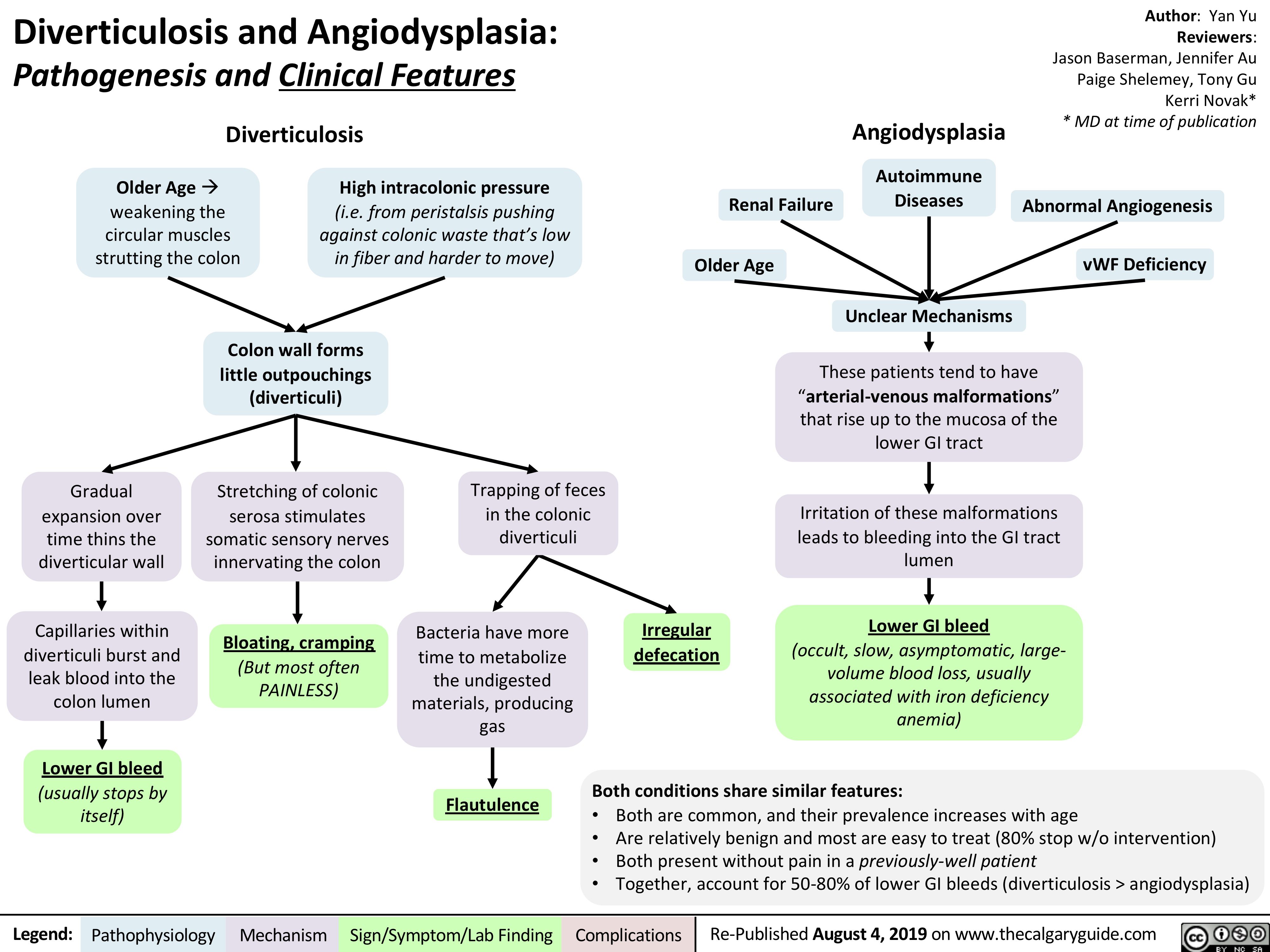 Diverticulosis and Angiodysplasia:
Pathogenesis and Clinical Features
Diverticulosis
Author: Yan Yu Reviewers: Jason Baserman, Jennifer Au Paige Shelemey, Tony Gu Kerri Novak* * MD at time of publication
Abnormal Angiogenesis
vWF Deficiency
    Older Ageà weakening the circular muscles strutting the colon
High intracolonic pressure
(i.e. from peristalsis pushing against colonic waste that’s low in fiber and harder to move)
Angiodysplasia
Autoimmune Diseases
Unclear Mechanisms
These patients tend to have “arterial-venous malformations” that rise up to the mucosa of the lower GI tract
Irritation of these malformations leads to bleeding into the GI tract lumen
Lower GI bleed
(occult, slow, asymptomatic, large- volume blood loss, usually associated with iron deficiency anemia)
  Renal Failure
   Older Age
              Gradual expansion over
time thins the diverticular wall
Capillaries within diverticuli burst and leak blood into the colon lumen
Lower GI bleed
(usually stops by itself)
Colon wall forms little outpouchings (diverticuli)
Stretching of colonic serosa stimulates
somatic sensory nerves innervating the colon
Bloating, cramping
(But most often PAINLESS)
Trapping of feces in the colonic diverticuli
Bacteria have more time to metabolize the undigested materials, producing gas
Flautulence
Irregular defecation
                  Both conditions share similar features:
 • Both are common, and their prevalence increases with age
• Are relatively benign and most are easy to treat (80% stop w/o intervention)
• Both present without pain in a previously-well patient
• Together, account for 50-80% of lower GI bleeds (diverticulosis > angiodysplasia)
  Legend:
 Pathophysiology
 Mechanism
Sign/Symptom/Lab Finding
  Complications
Re-Published August 4, 2019 on www.thecalgaryguide.com
   