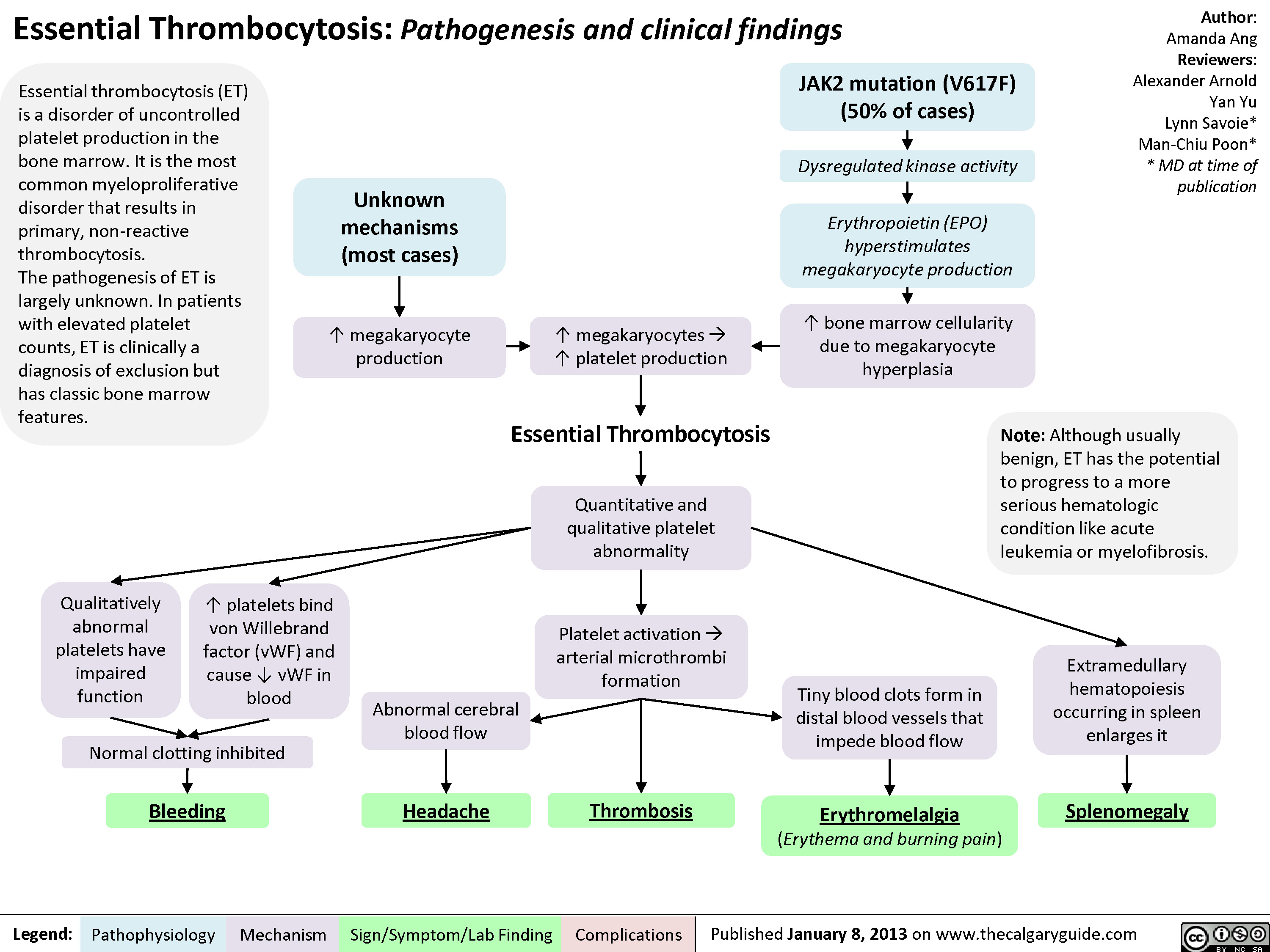 Essential Thrombocytosis (ET)