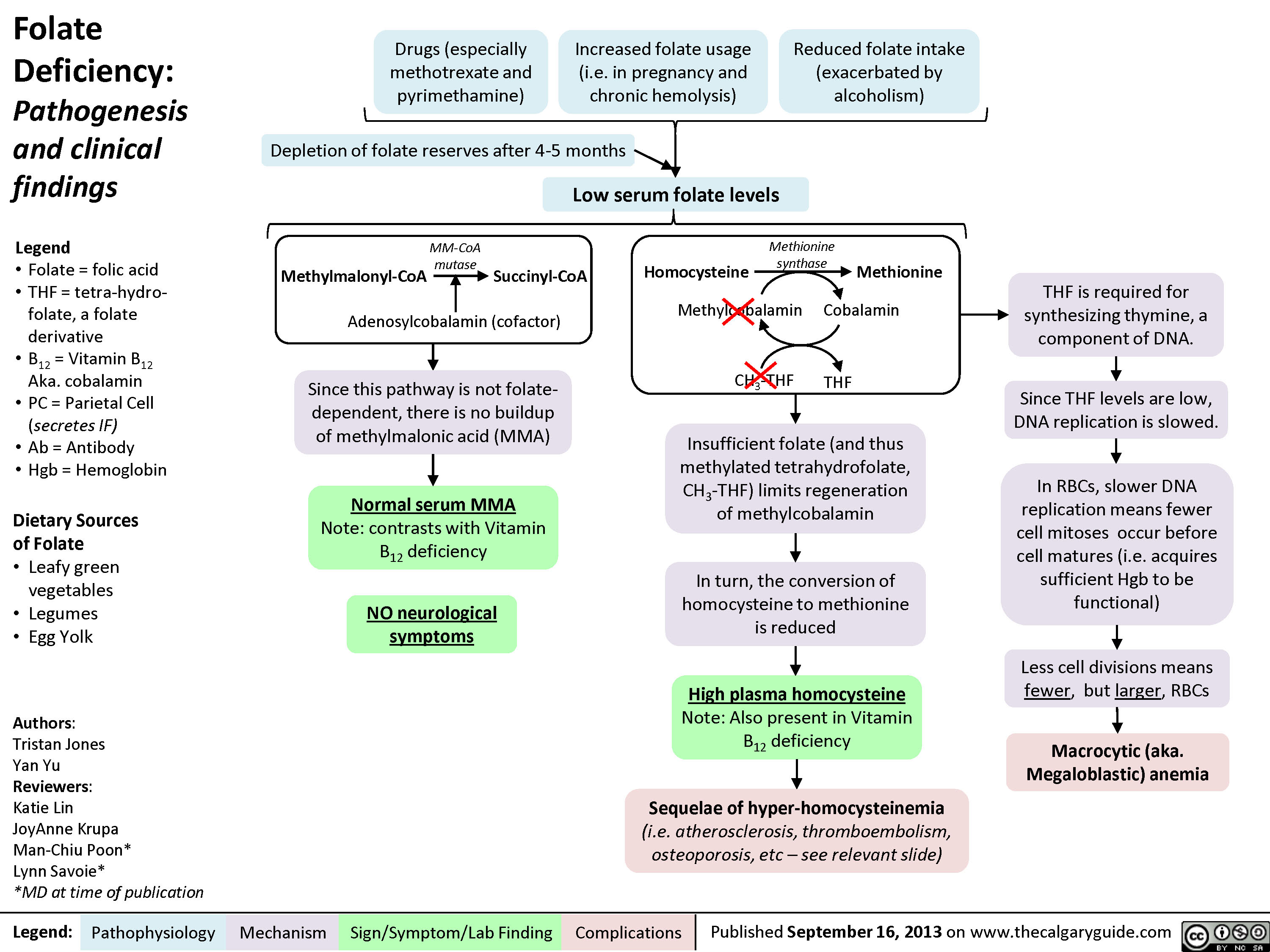 vitamin b9 deficiency