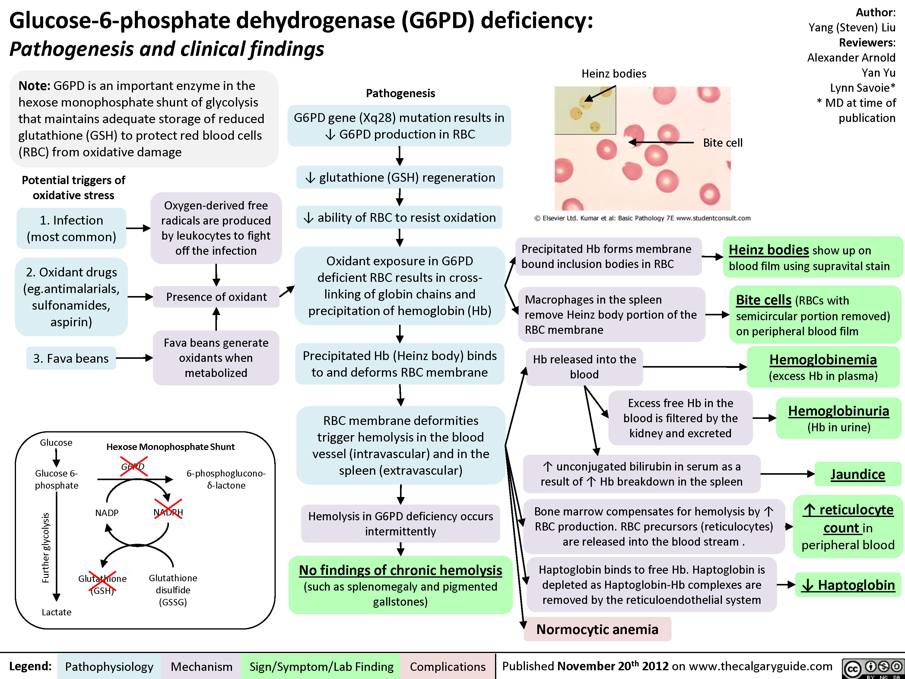 G6PD Deficiency Calgary Guide