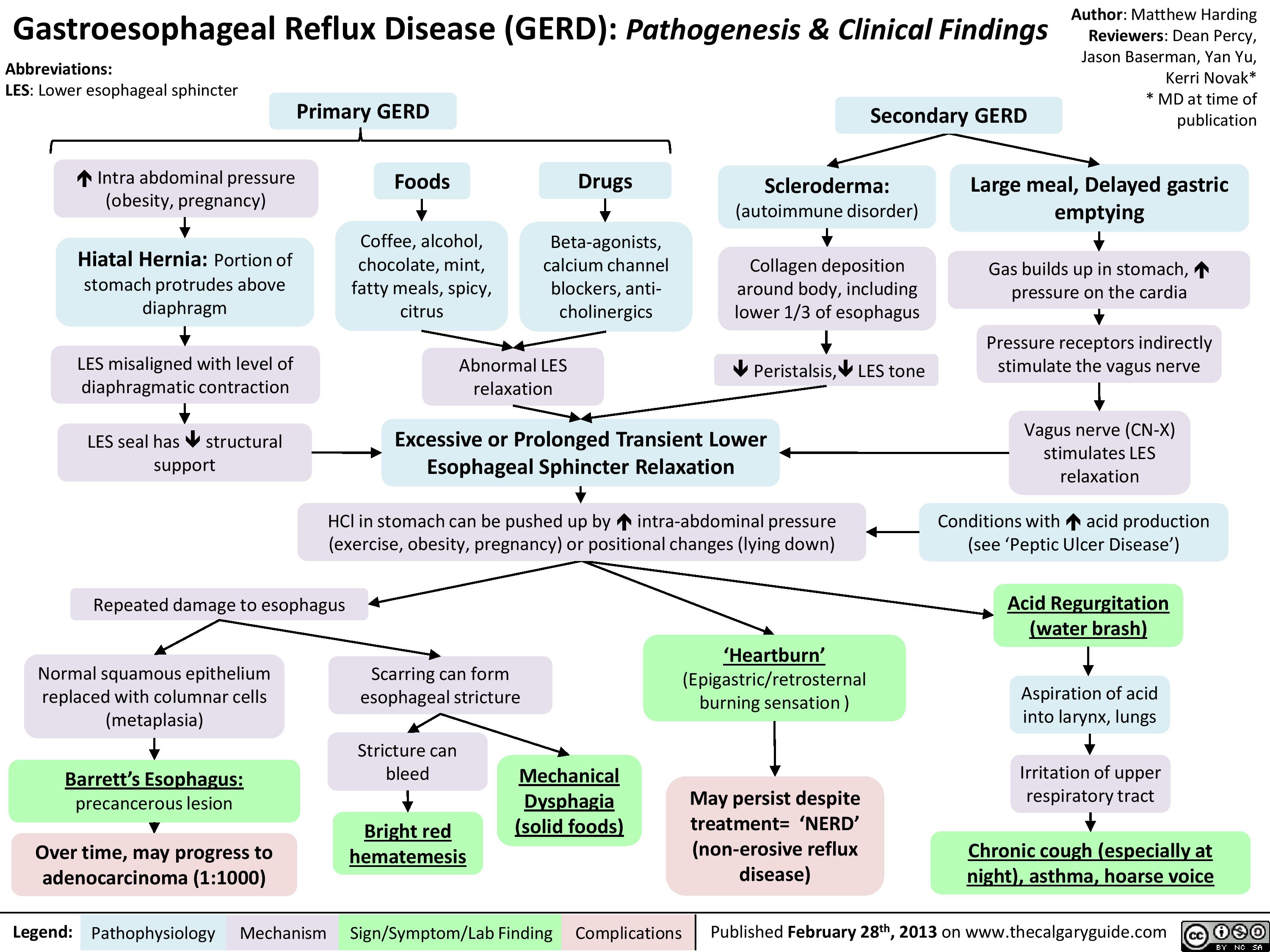 Gastroesophageal Reflux Disease (GERD) Pathogenesis and Clinical Findings