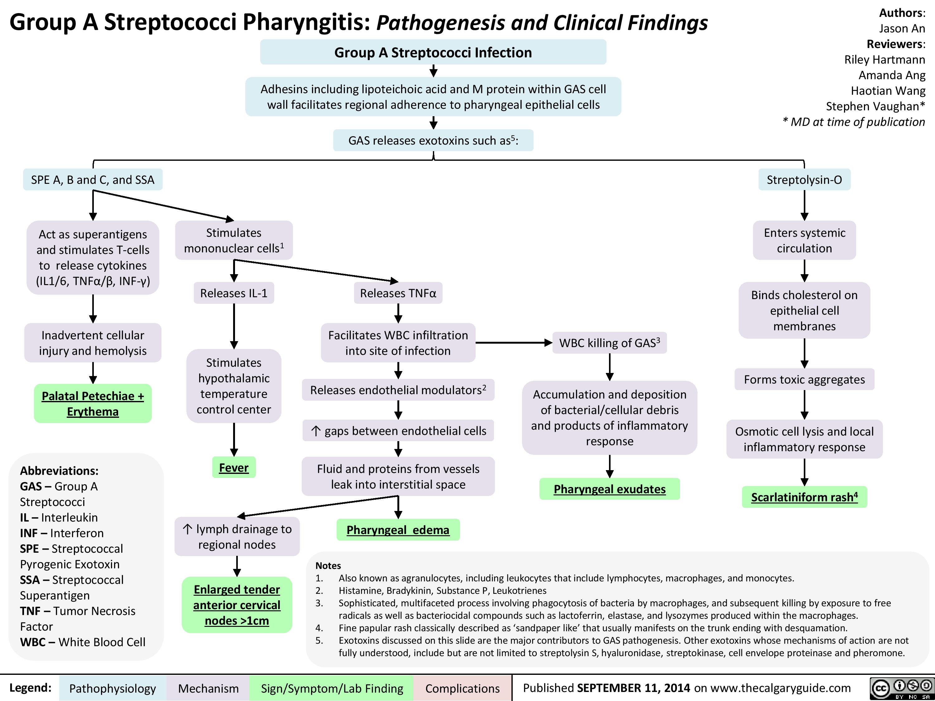 pharyngitis-group-a-strep-pathogenesis-and-clinical-findings