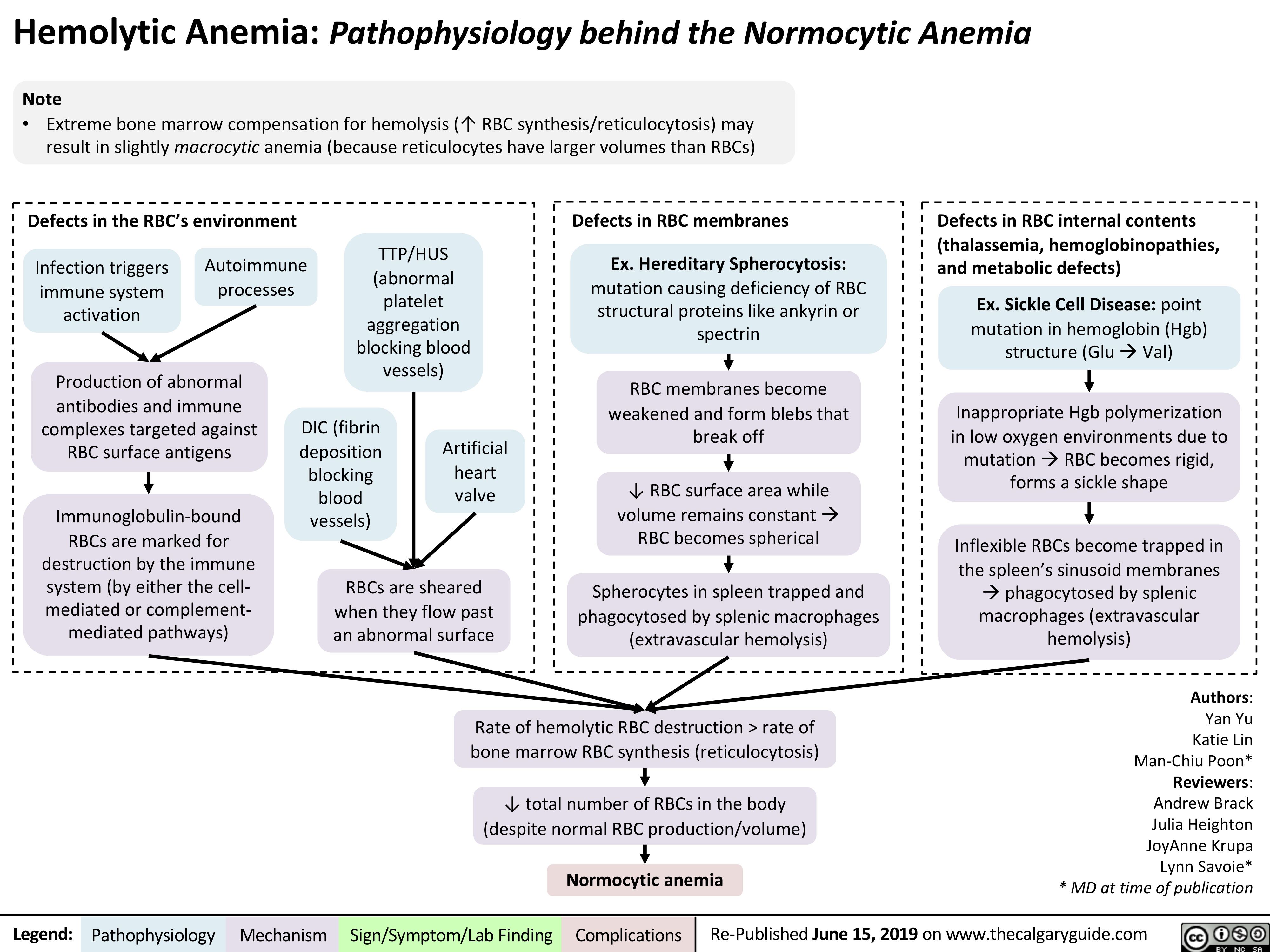 Hemolytic Anemia: Pathophysiology behind the Normocytic Anemia
Note
• Extreme bone marrow compensation for hemolysis (↑ RBC synthesis/reticulocytosis) may result in slightly macrocytic anemia (because reticulocytes have larger volumes than RBCs)
    Defects in the RBC’s environment
Defects in RBC membranes
Ex. Hereditary Spherocytosis:
mutation causing deficiency of RBC structural proteins like ankyrin or spectrin
RBC membranes become weakened and form blebs that break off
↓ RBC surface area while volume remains constantà RBC becomes spherical
Spherocytes in spleen trapped and phagocytosed by splenic macrophages (extravascular hemolysis)
Defects in RBC internal contents (thalassemia, hemoglobinopathies, and metabolic defects)
Ex. Sickle Cell Disease: point mutation in hemoglobin (Hgb) structure (GluàVal)
Inappropriate Hgb polymerization in low oxygen environments due to mutationàRBC becomes rigid, forms a sickle shape
Inflexible RBCs become trapped in the spleen’s sinusoid membranes àphagocytosed by splenic macrophages (extravascular hemolysis)
    Infection triggers immune system activation
Autoimmune processes
TTP/HUS (abnormal platelet aggregation blocking blood vessels)
    Production of abnormal
antibodies and immune complexes targeted against RBC surface antigens
Immunoglobulin-bound RBCs are marked for
destruction by the immune system (by either the cell- mediated or complement- mediated pathways)
DIC (fibrin deposition blocking blood vessels)
Artificial heart valve
                RBCs are sheared when they flow past an abnormal surface
     Rate of hemolytic RBC destruction > rate of bone marrow RBC synthesis (reticulocytosis)
↓ total number of RBCs in the body (despite normal RBC production/volume)
Normocytic anemia
Authors: Yan Yu Katie Lin Man-Chiu Poon* Reviewers: Andrew Brack Julia Heighton JoyAnne Krupa Lynn Savoie* * MD at time of publication
     Legend:
 Pathophysiology
 Mechanism
Sign/Symptom/Lab Finding
  Complications
Re-Published June 15, 2019 on www.thecalgaryguide.com
   
