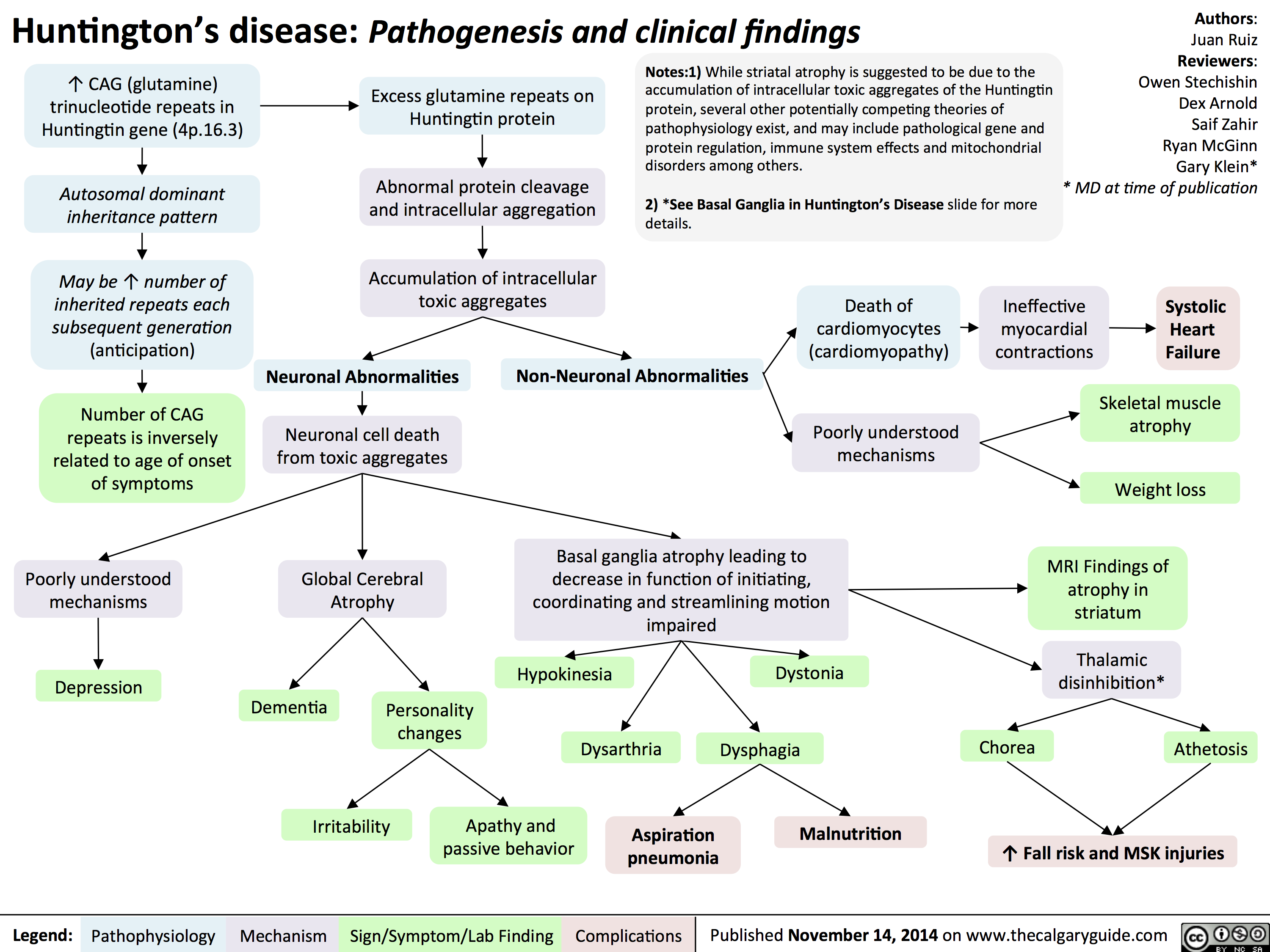 Huntingtons Disease Pathogenesis and Clinical Findings