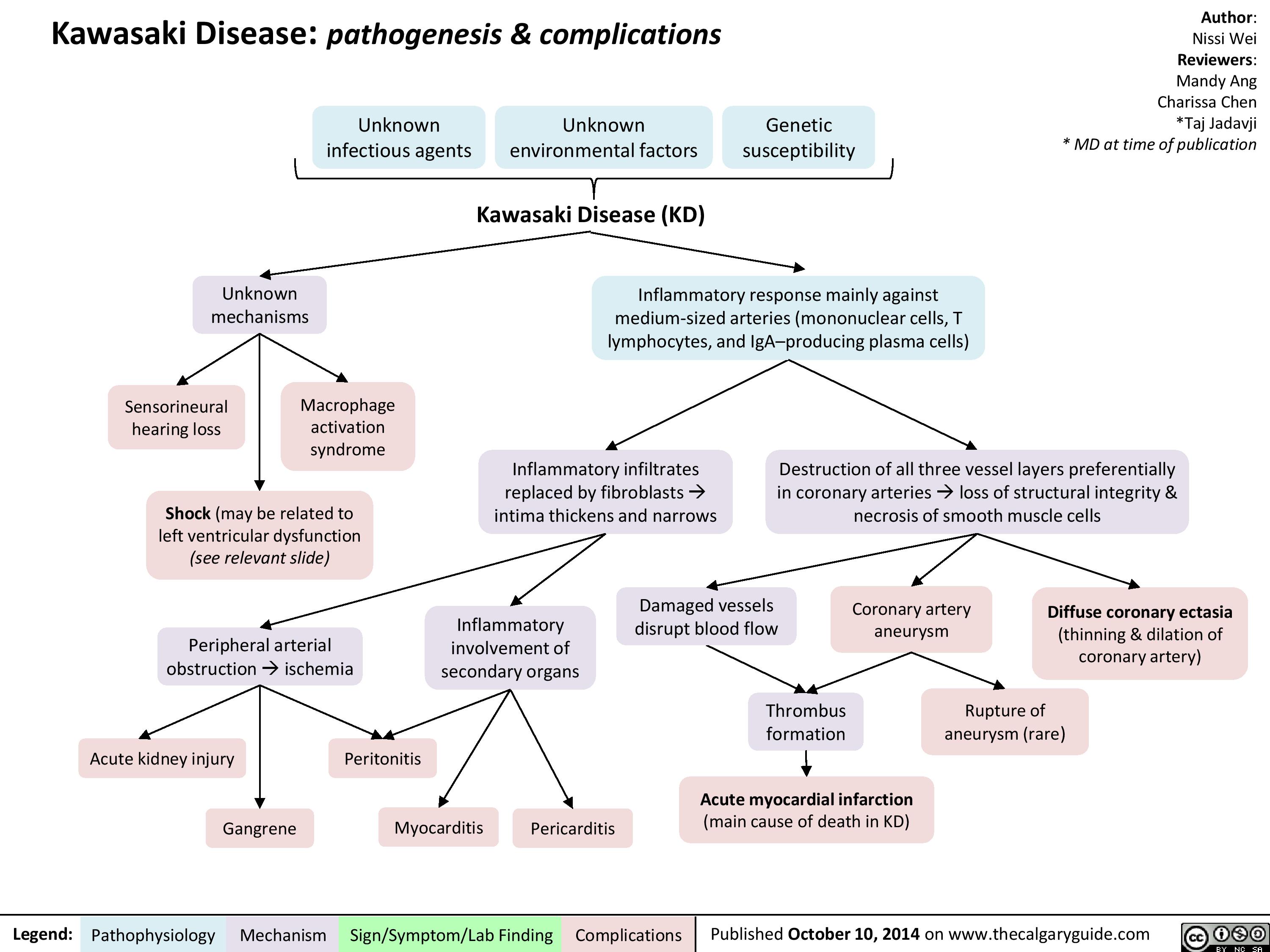 Disease: Pathogenesis and Complications | Calgary Guide