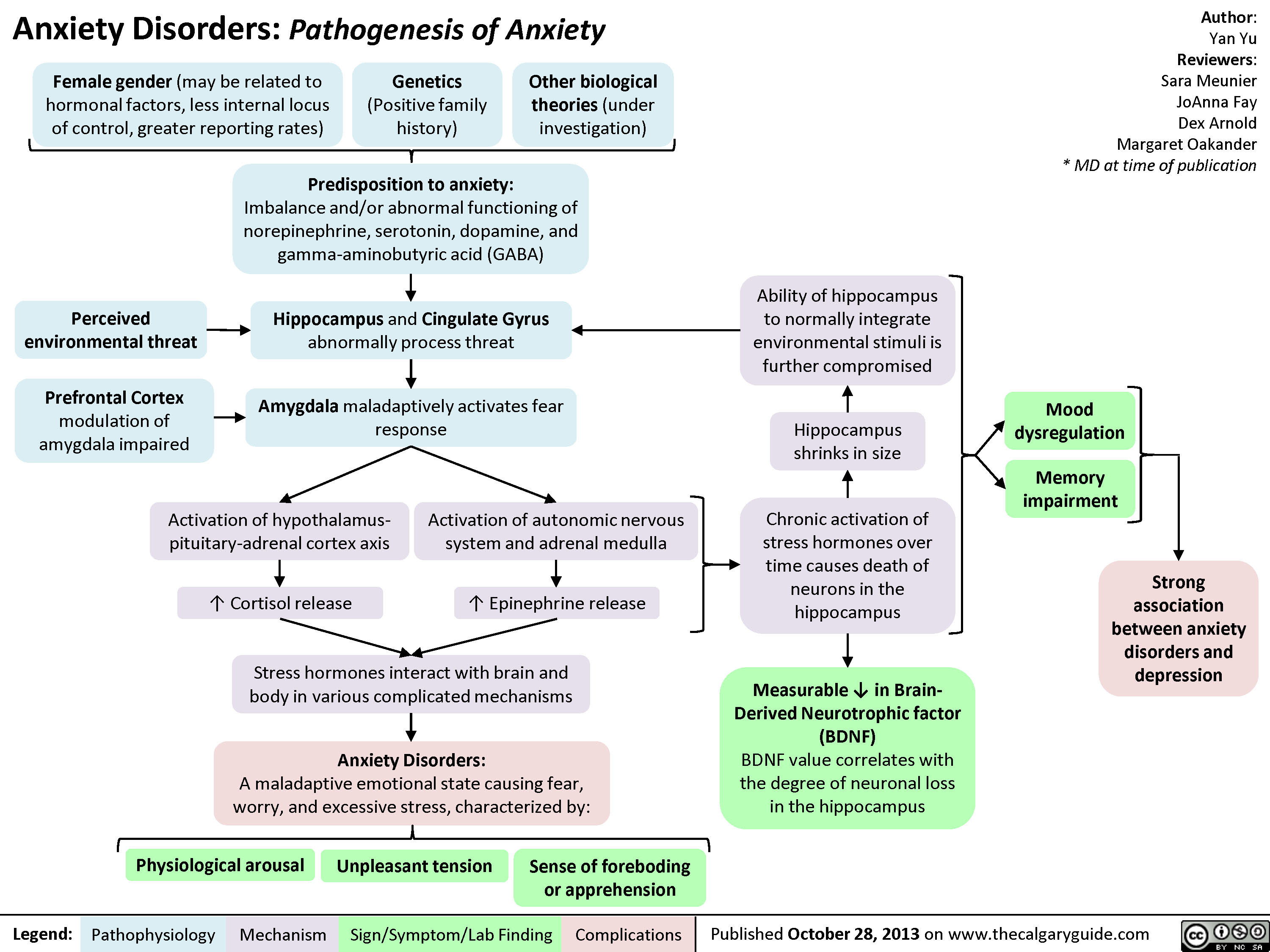 Yu, Y - Pathogenesis of Anxiety Disorders FINAL.pptx
Stress hormones interact with brain and body in various complicated mechanismsAnxiety Disorders: Pathogenesis of AnxietyPhysiological arousalAuthor:  Yan YuReviewers:Sara Meunier  JoAnna FayDex ArnoldMargaret Oakander* MD at time of publicationLegend:Published October 28, 2013 on www.thecalgaryguide.comMechanismPathophysiologySign/Symptom/Lab FindingComplicationsGenetics (Positive family history)Sense of foreboding or apprehensionActivation of hypothalamus-pituitary-adrenal cortex axisPredisposition to anxiety: Imbalance and/or abnormal functioning of norepinephrine, serotonin, dopamine, and gamma-aminobutyric acid (GABA) Female gender (may be related to hormonal factors, less internal locus of control, greater reporting rates)Other biological theories (under investigation)Prefrontal Cortex modulation of amygdala impairedUnpleasant tensionAmygdala maladaptively activates fear response? Cortisol releaseChronic activation of stress hormones over time causes death of neurons in the hippocampusAnxiety Disorders:A maladaptive emotional state causing fear, worry, and excessive stress, characterized by:Perceived environmental threatHippocampus and Cingulate Gyrus abnormally process threatActivation of autonomic nervous system and adrenal medulla? Epinephrine releaseHippocampus shrinks in sizeAbility of hippocampus to normally integrate environmental stimuli is further compromisedMood dysregulationMemory impairmentStrong association between anxiety disorders and depressionMeasurable ? in Brain-Derived Neurotrophic factor (BDNF)BDNF value correlates with the degree of neuronal loss in the hippocampus
97 kB / 173 words