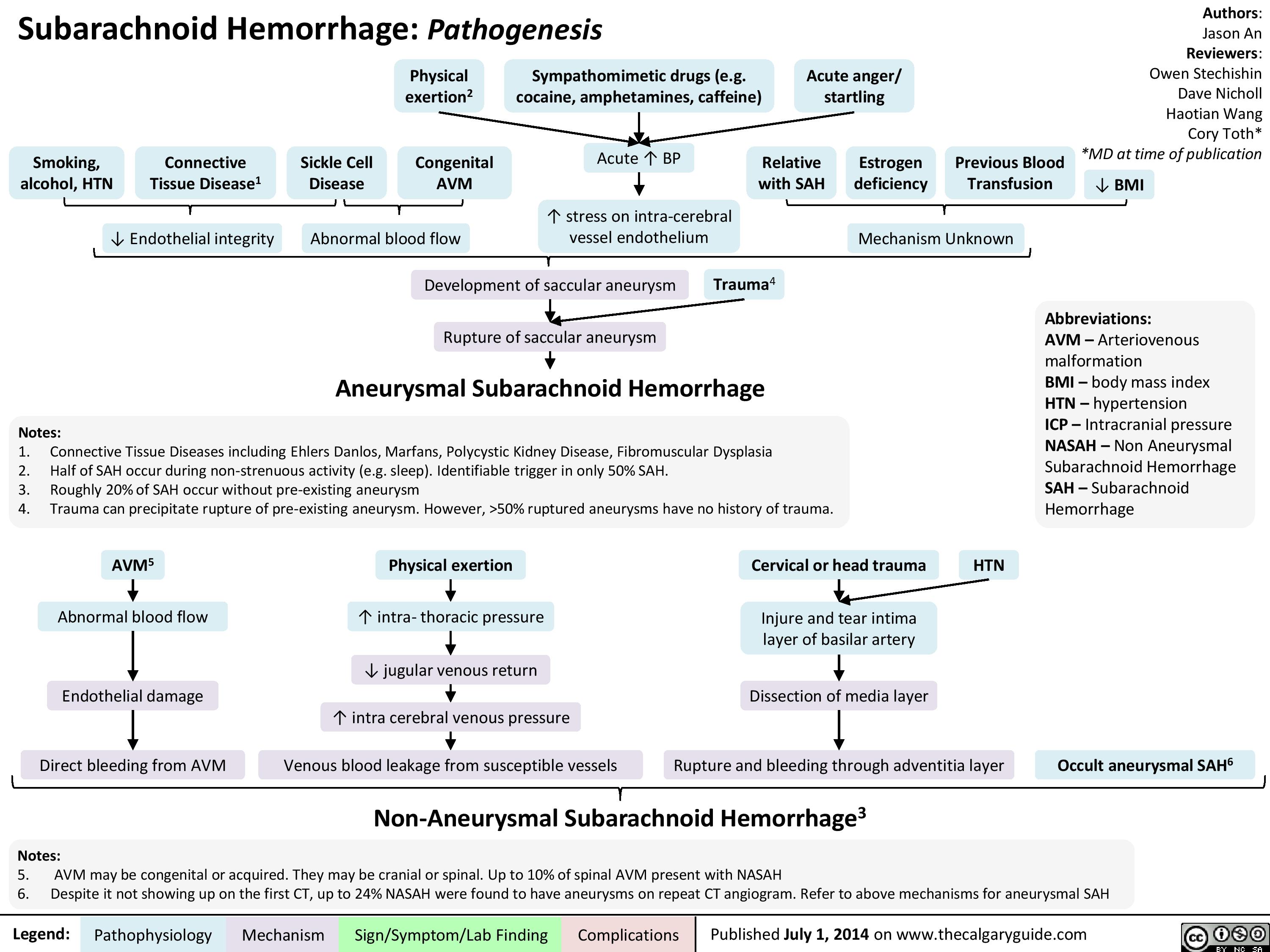 Subarachnoid Hemorrhage Pathogenesis Calgary Guide