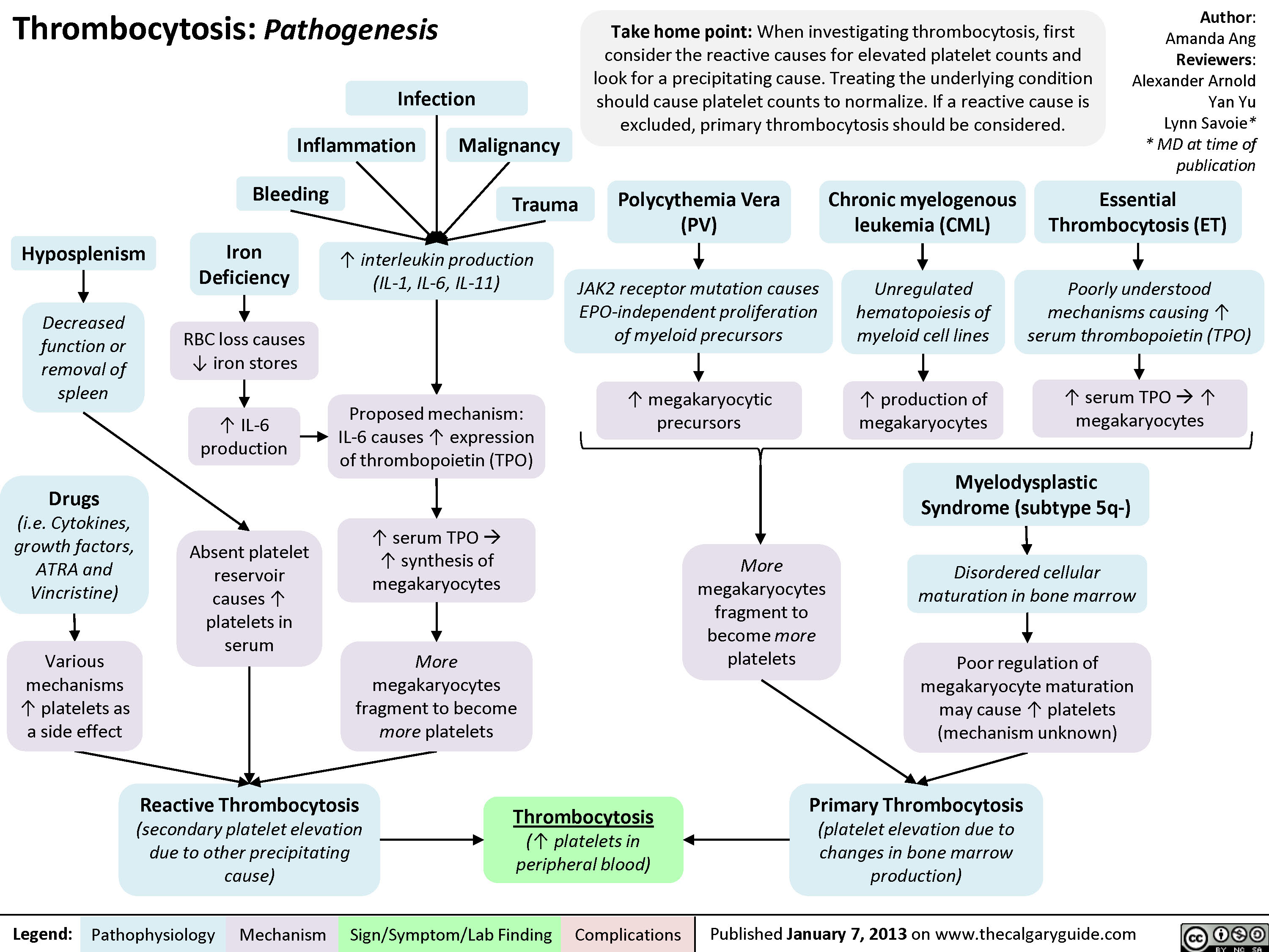 Pathogenesis of thrombocytosis