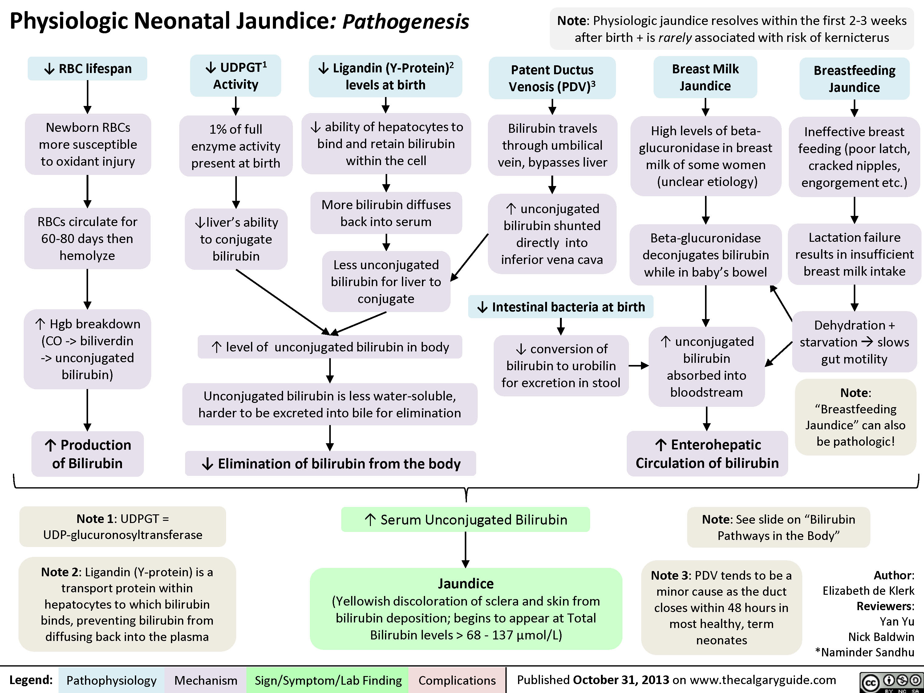 Physiologic Neonatal Jaundice