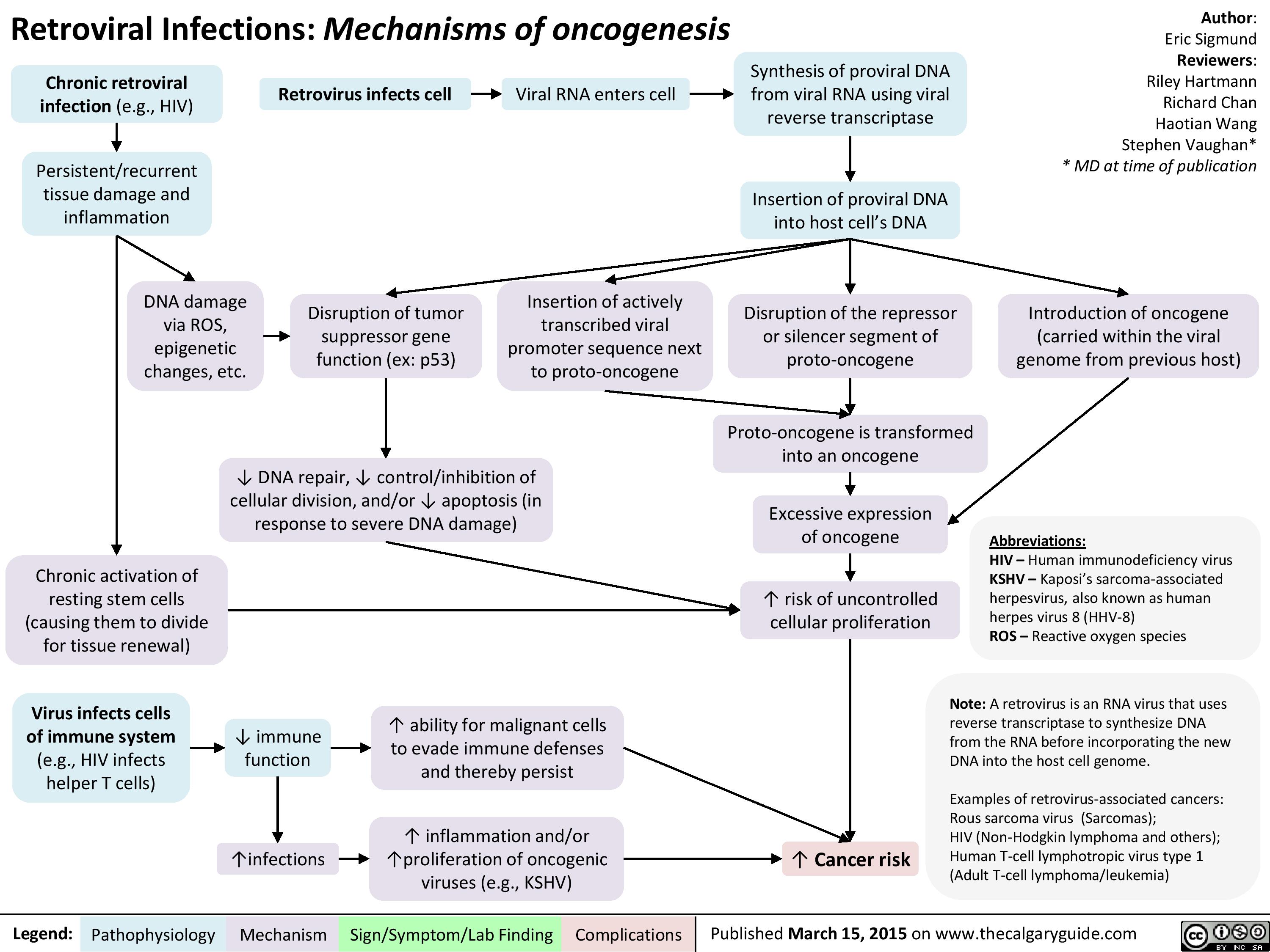 Retroviral Infections Mechanisms of oncogenesis