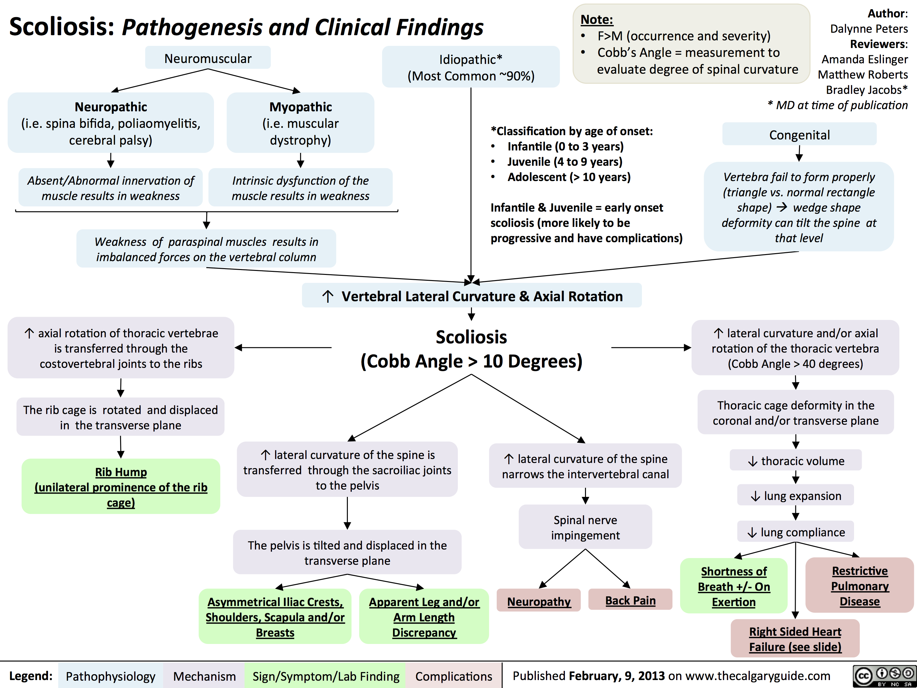 Scoliosis -Pathogenesis and Clinical Findings