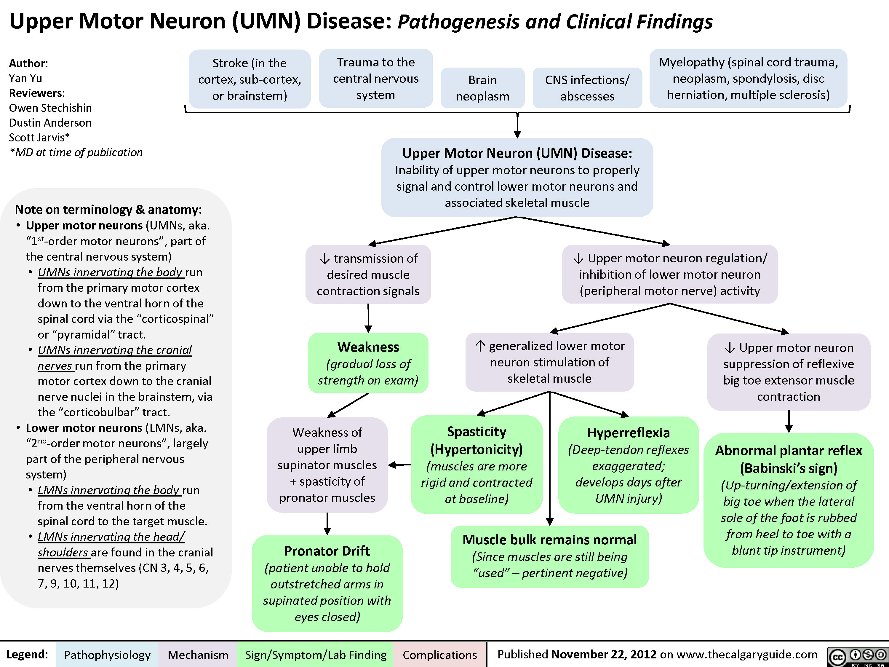 Upper Motor Neuron (UMN) Disease