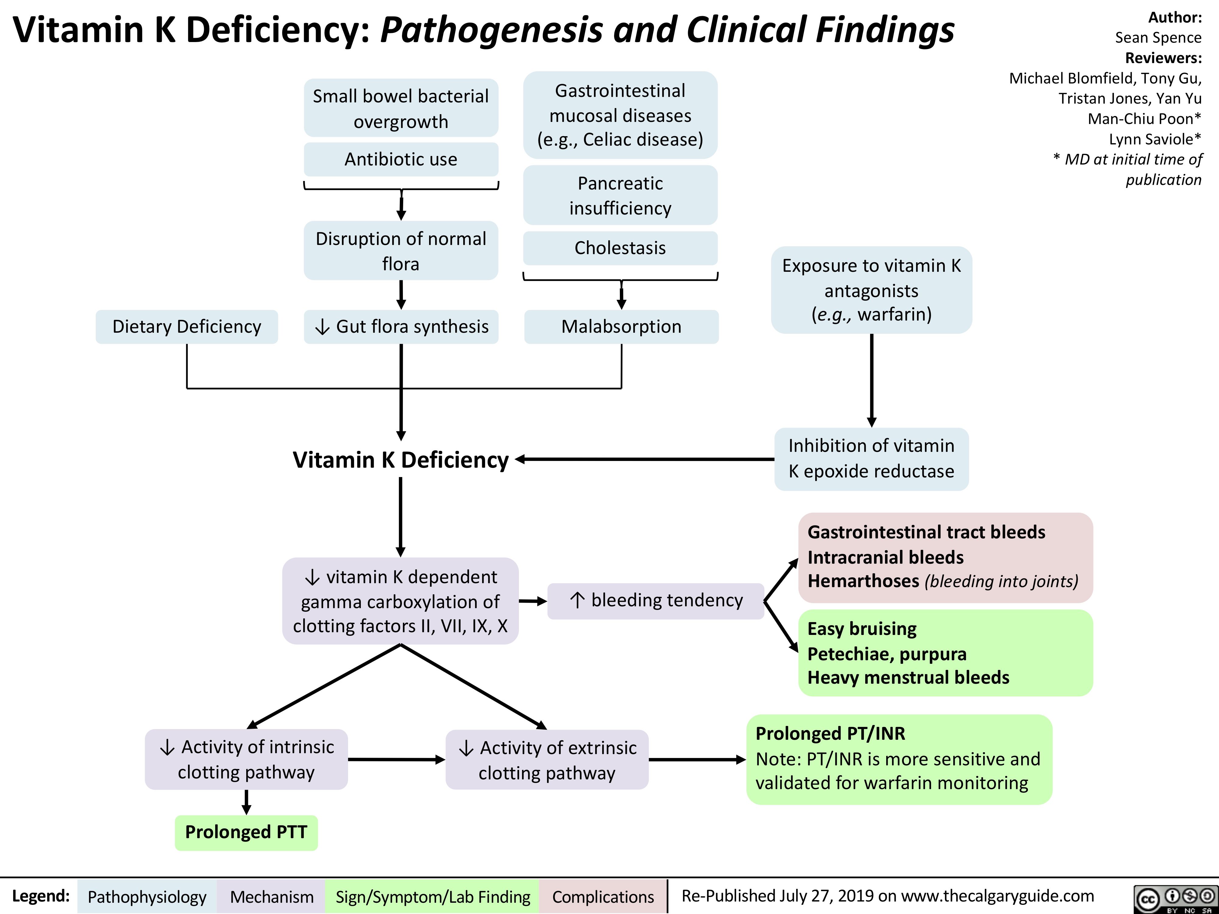 Vitamin K Deficiency: Pathogenesis and Clinical Findings
Author:
Sean Spence
Reviewers:
Michael Blomfield, Tony Gu, Tristan Jones, Yan Yu Man-Chiu Poon* Lynn Saviole* * MD at initial time of publication
             Dietary Deficiency
Small bowel bacterial overgrowth
Antibiotic use
Disruption of normal flora
↓ Gut flora synthesis
Vitamin K Deficiency
↓ vitamin K dependent gamma carboxylation of clotting factors II, VII, IX, X
Gastrointestinal mucosal diseases (e.g., Celiac disease)
Pancreatic insufficiency
Cholestasis
Malabsorption
Exposure to vitamin K antagonists (e.g., warfarin)
Inhibition of vitamin K epoxide reductase
          ↑ bleeding tendency
Gastrointestinal tract bleeds Intracranial bleeds Hemarthoses (bleeding into joints)
Easy bruising
Petechiae, purpura Heavy menstrual bleeds
Prolonged PT/INR
Note: PT/INR is more sensitive and validated for warfarin monitoring
        ↓ Activity of intrinsic clotting pathway
Prolonged PTT
↓ Activity of extrinsic clotting pathway
     Legend:
 Pathophysiology
Mechanism
 Sign/Symptom/Lab Finding
  Complications
Re-Published July 27, 2019 on www.thecalgaryguide.com
   