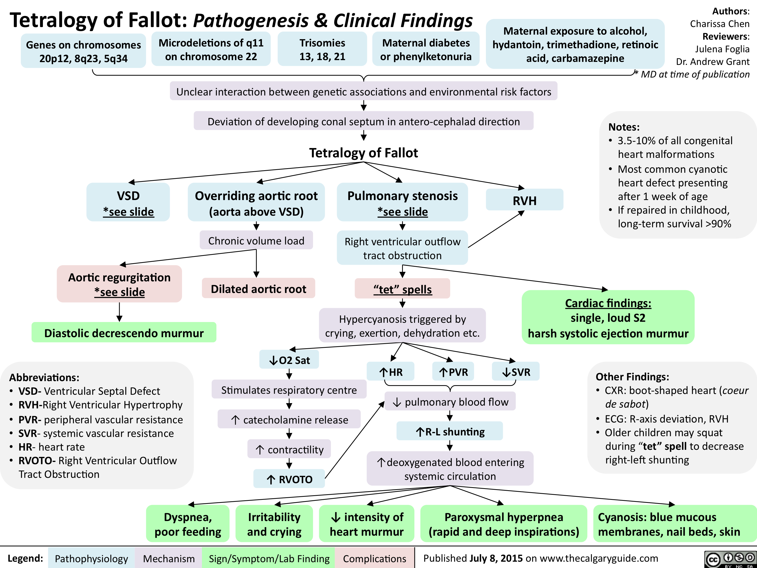 Tetralogy of Fallot-Pathogenesis & Clinical Findings