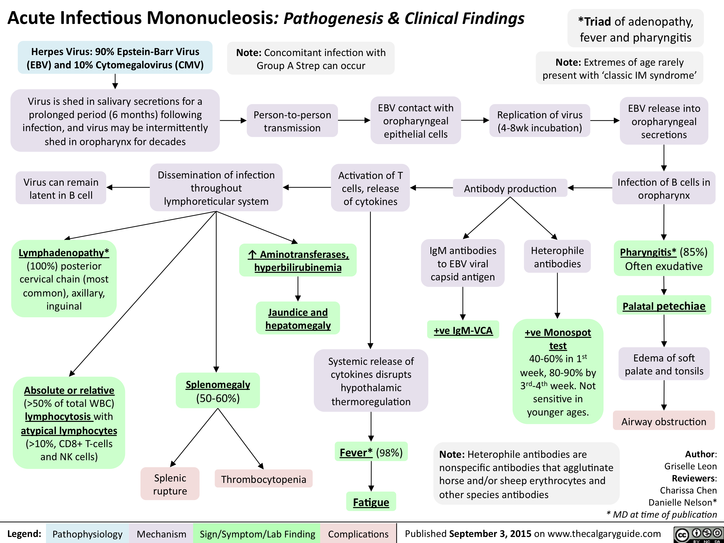 Acute Infectious Mononucleosis-Pathogenesis and clinical findings
