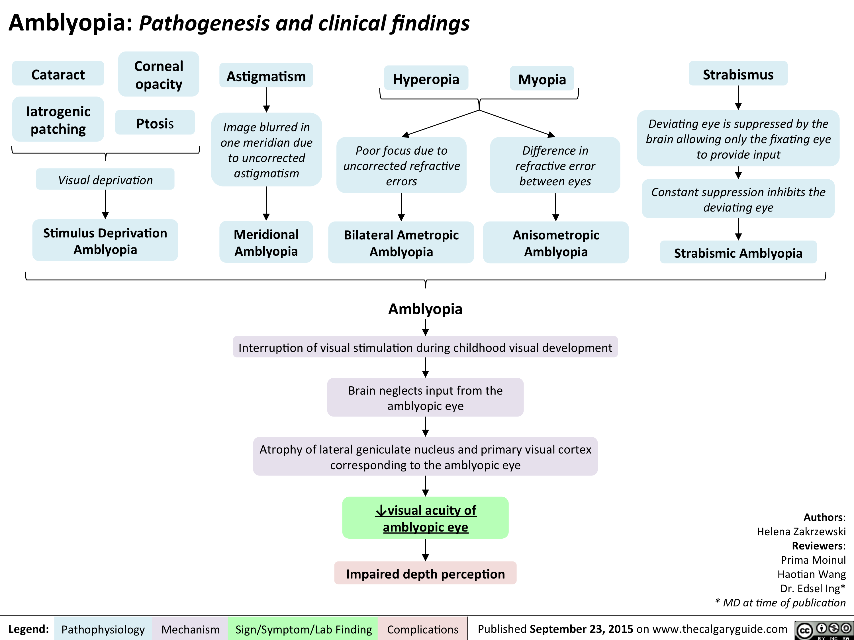 Amblyopia Pathogenesis and clinical findings