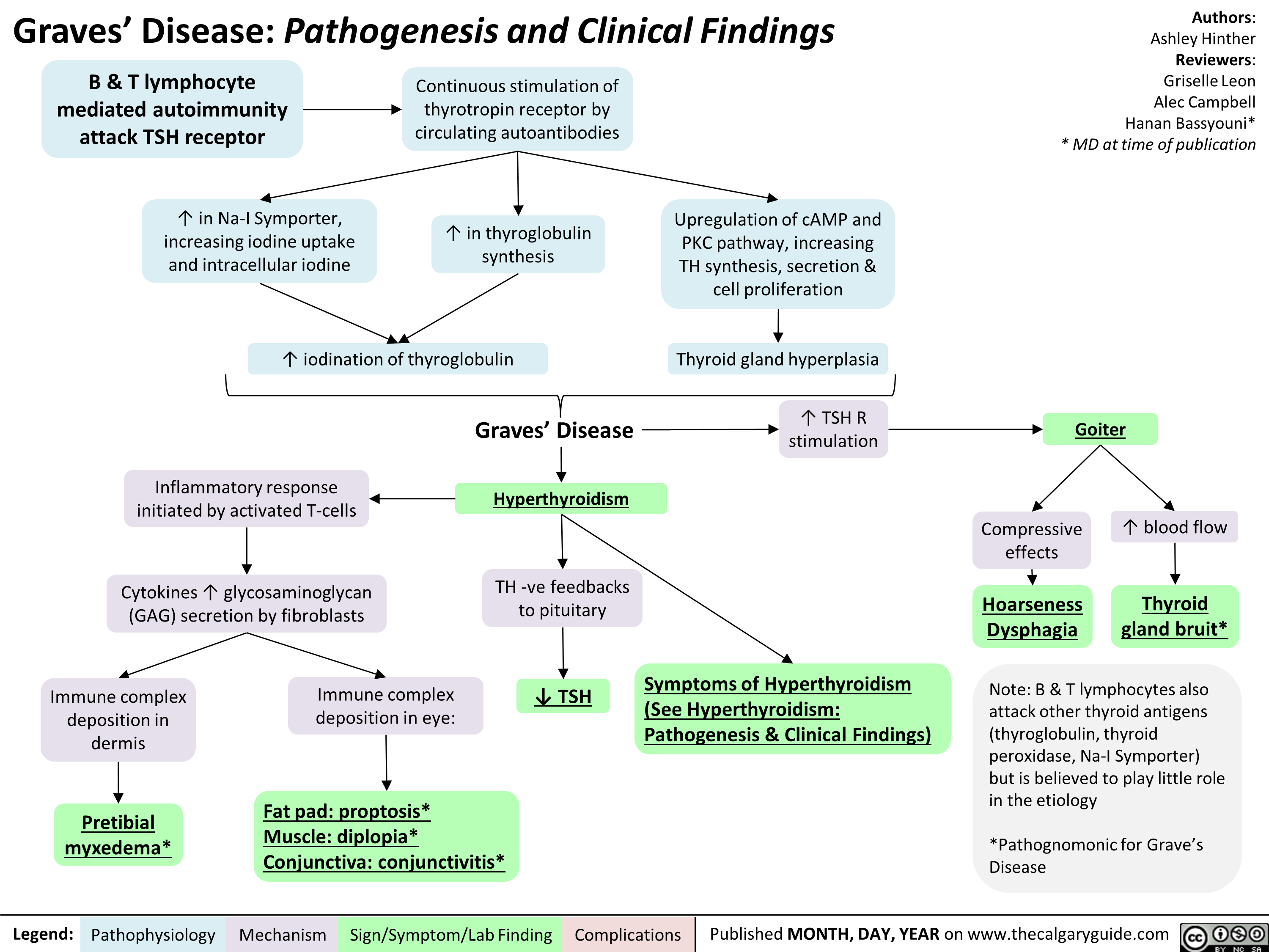 Graves' Disease Pathogenesis & Clinical Findings