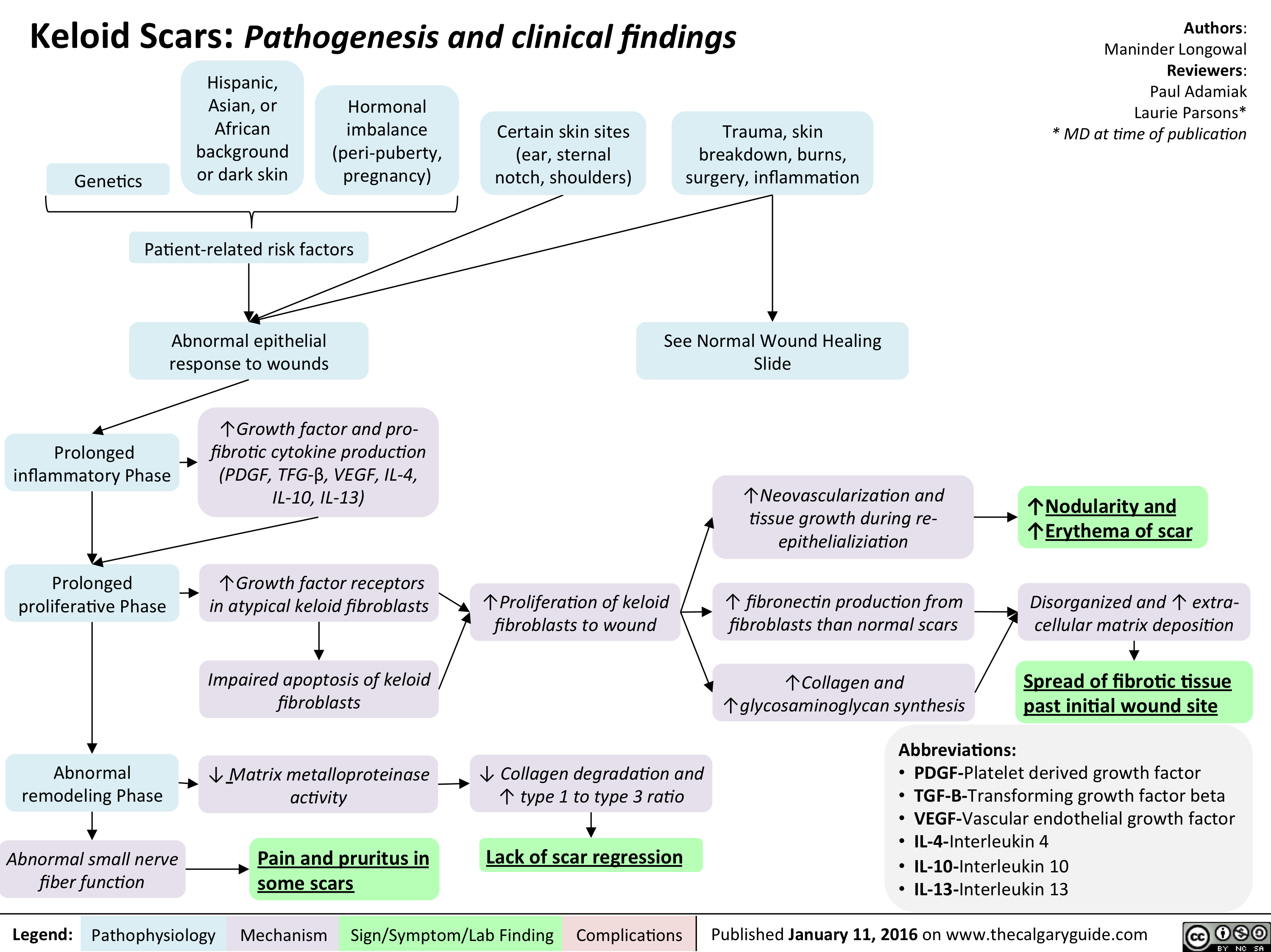 Keloid scar - pathogenesis and clinical findings