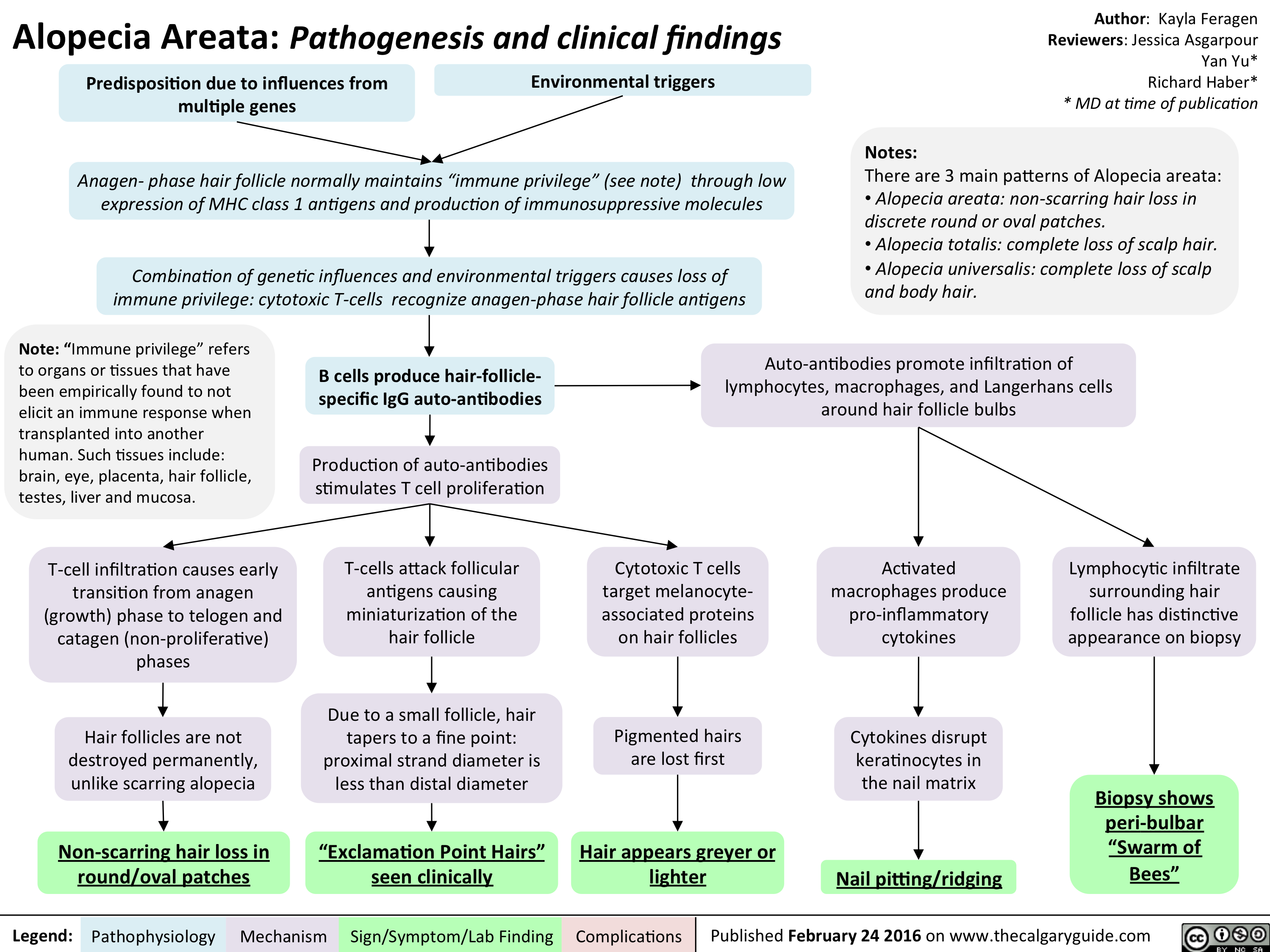 Alopecia Areata - Pathogenesis and clinical findings