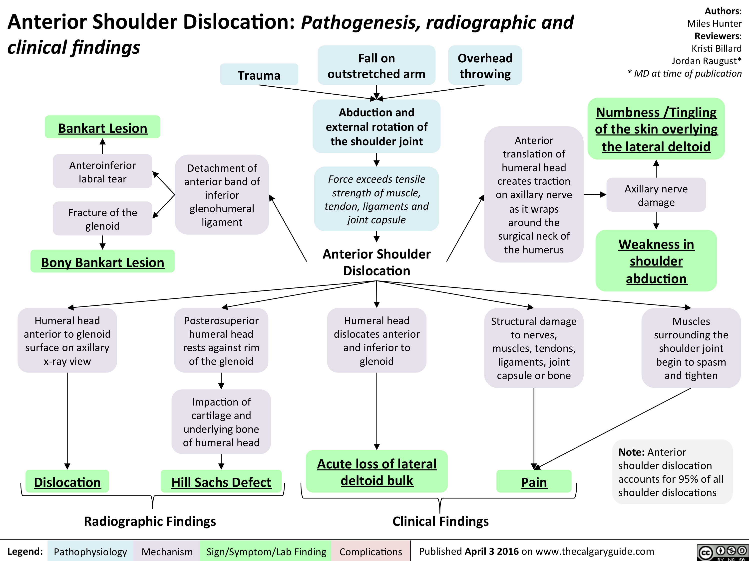 Anterior Shoulder Dislocation - Pathogensis clinical and radiographic findings
