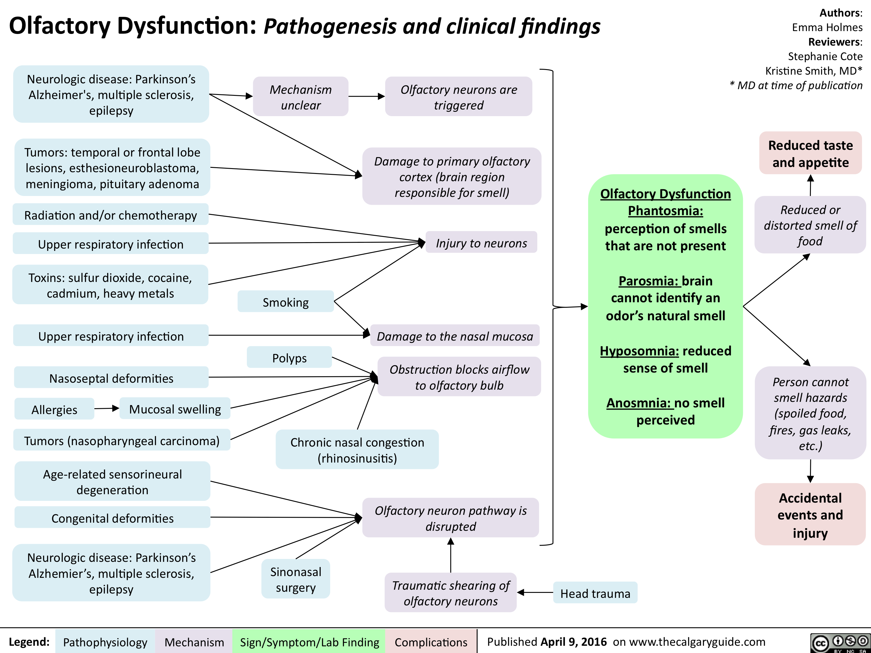 Olfactory Dysfunction - Pathogenesis and clinical findings