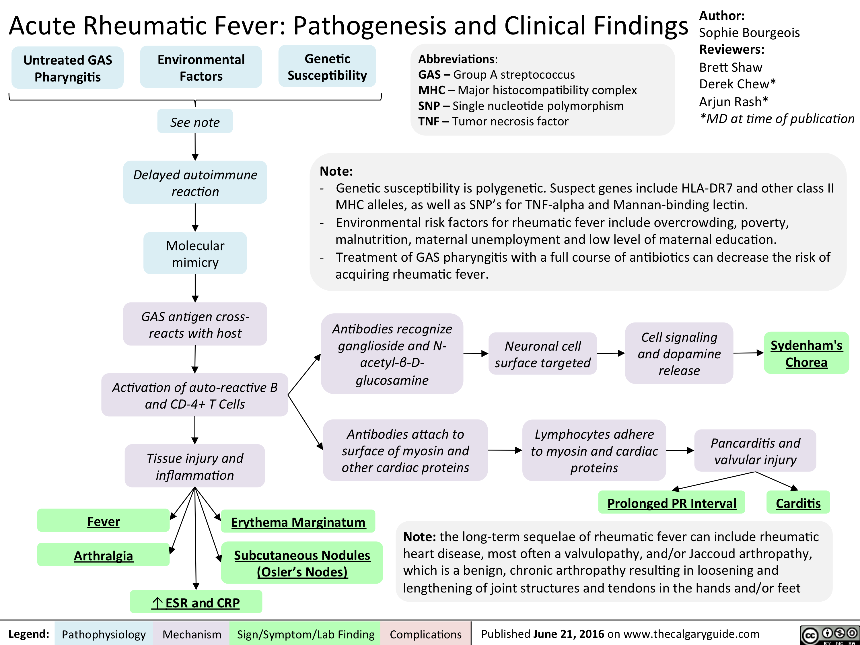 Acute Rheumatic Fever Pathogenesis And Clinical Findings Calgary Guide