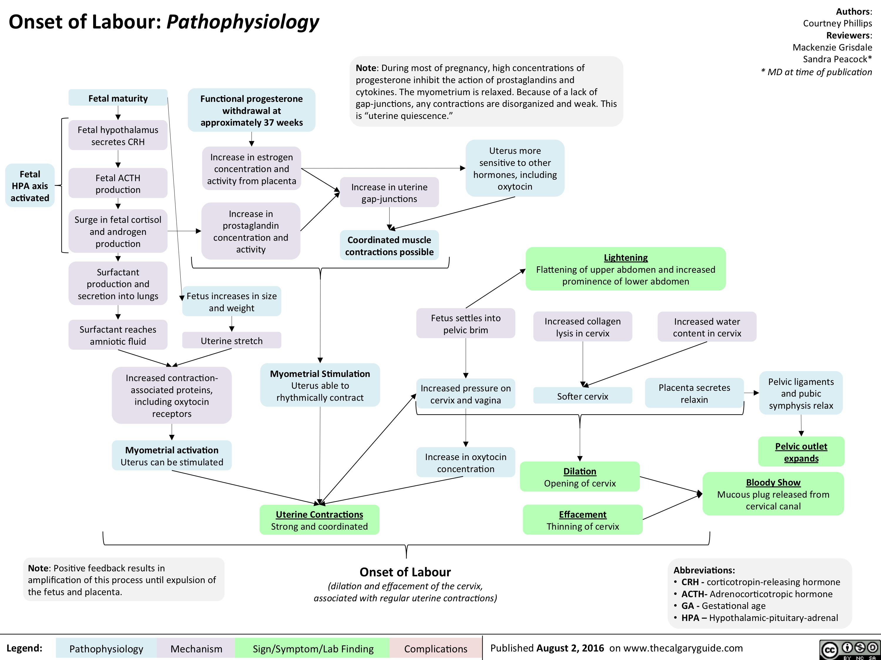 Onset of Labour: Pathophysiology