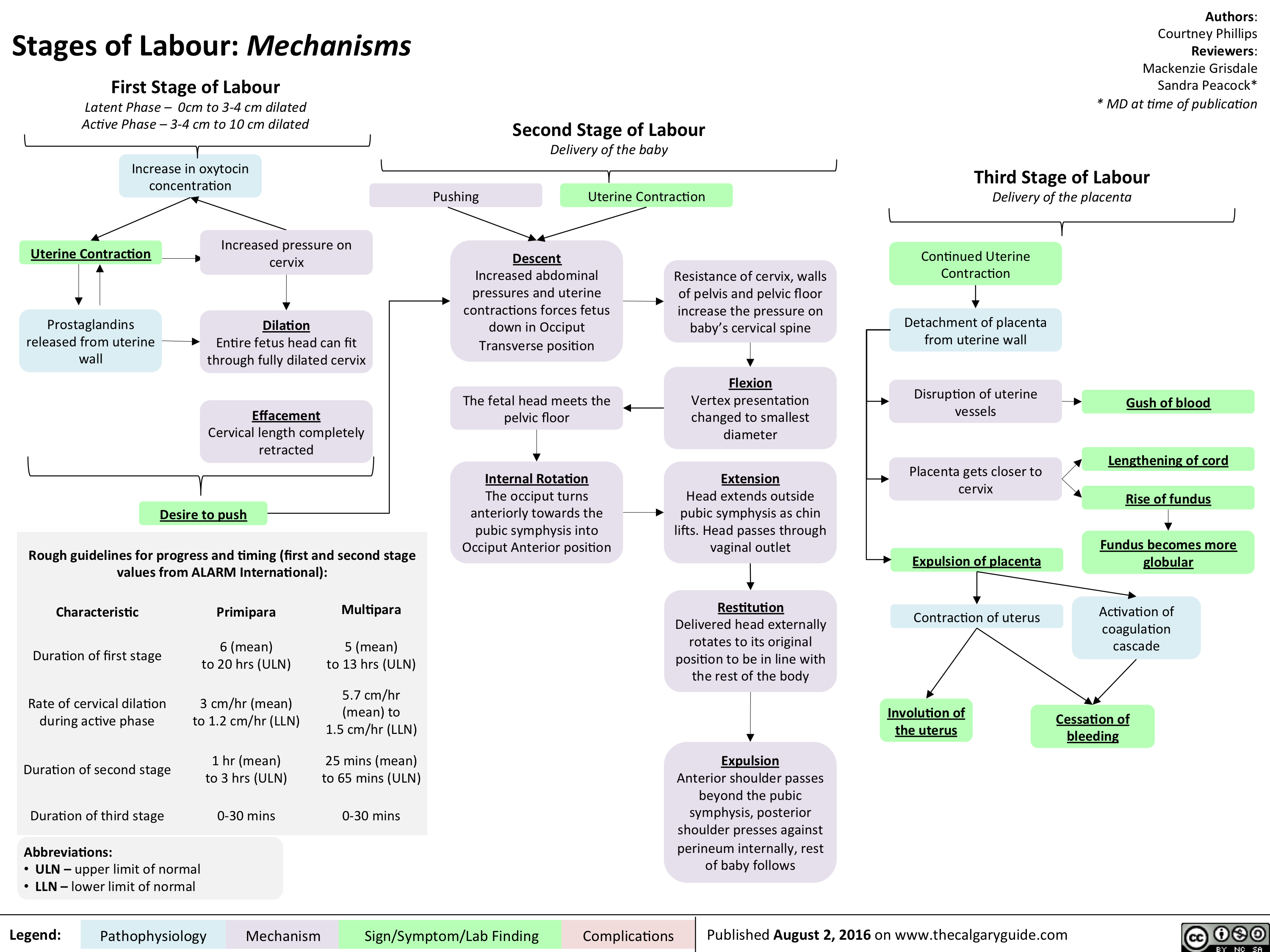 Stages of Labour: Mechanisms