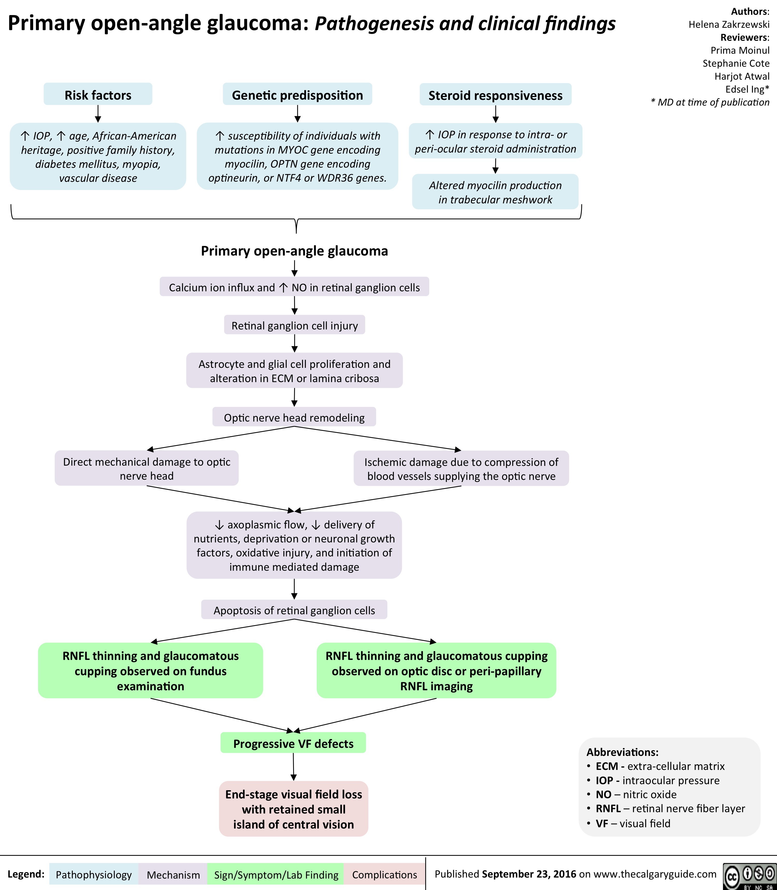 Primary Open Angle Glaucoma Pathogenesis and Clinical Findings